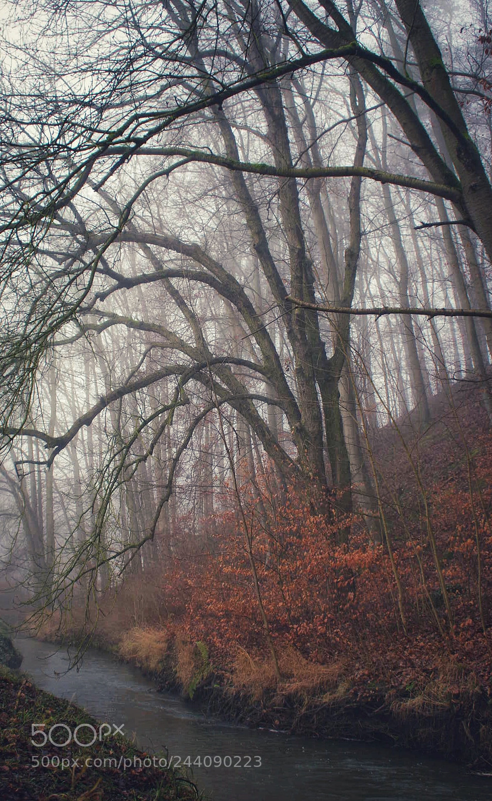 Pentax K-3 sample photo. Untitled photography
