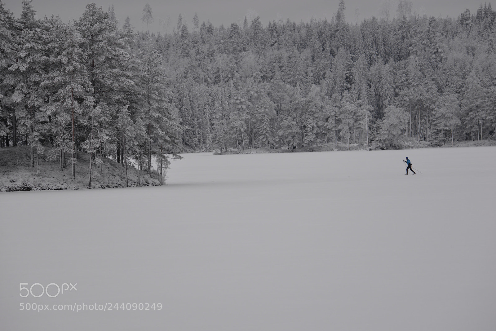 Nikon D610 sample photo. Ski tour photography