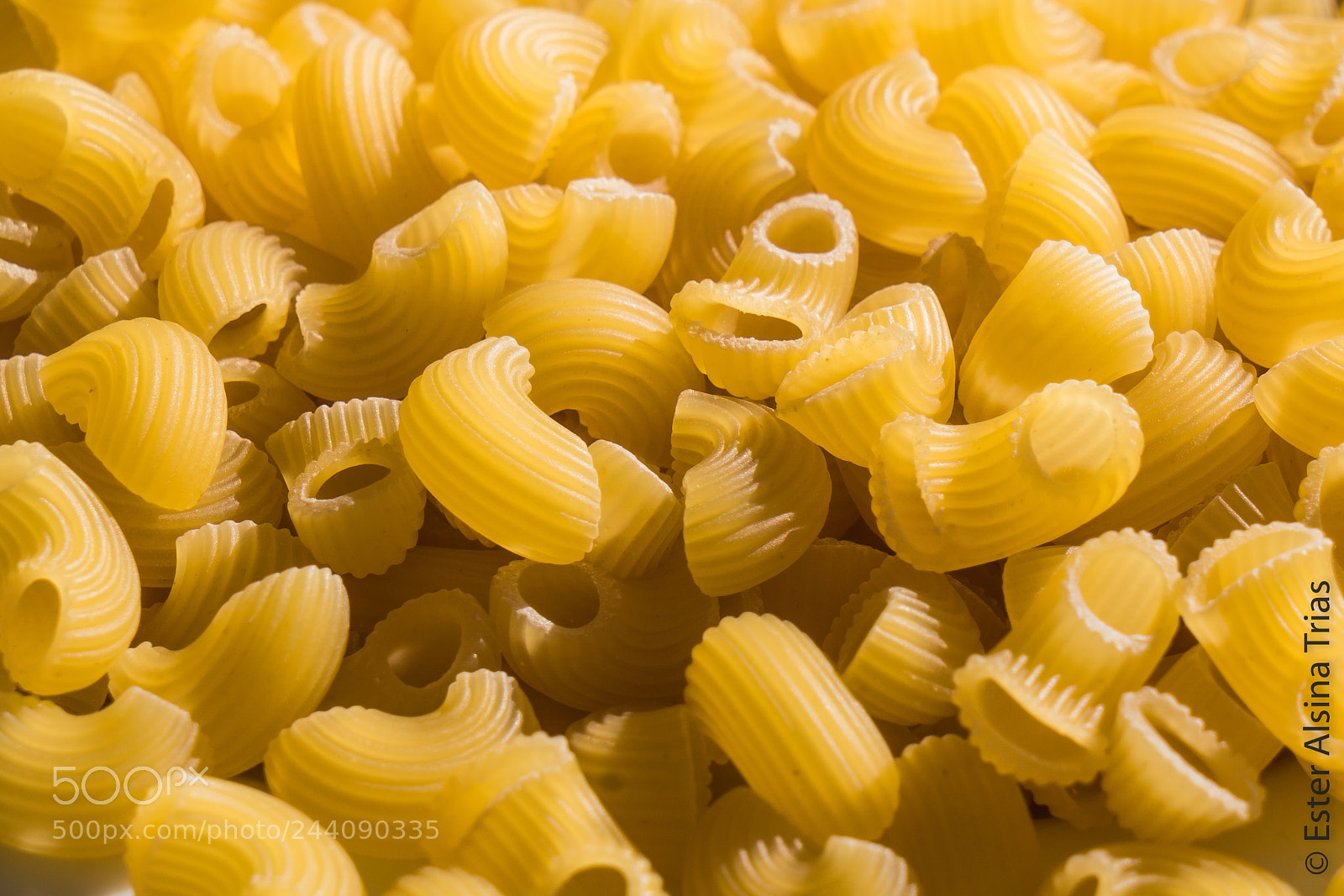 Sony a7R II sample photo. La pasta photography