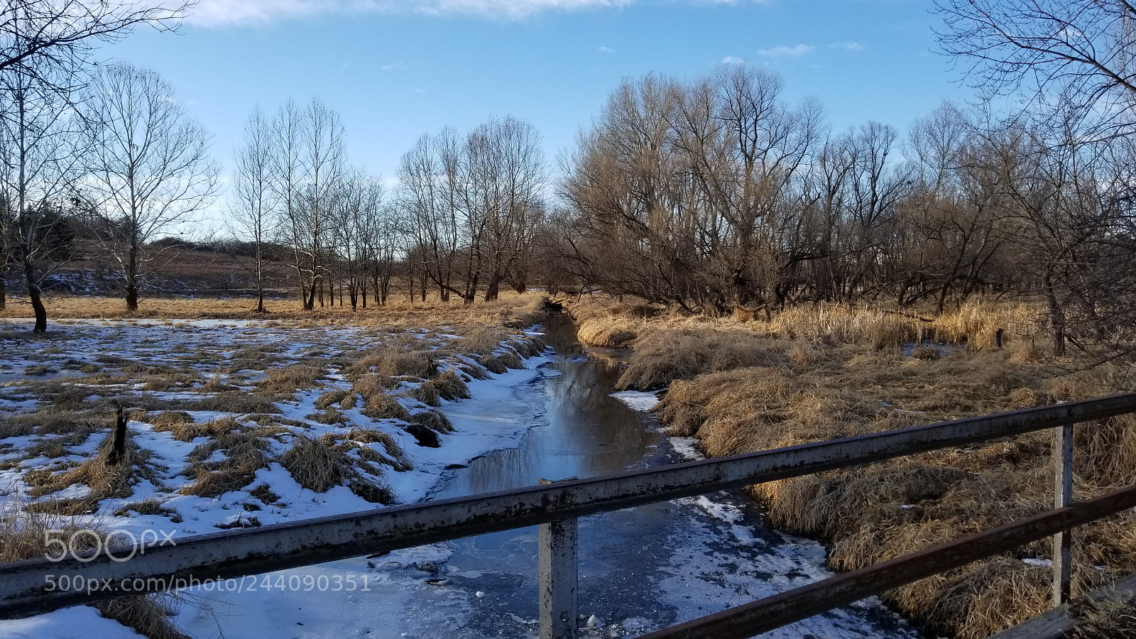 Samsung Galaxy S8+ sample photo. Untitled photography