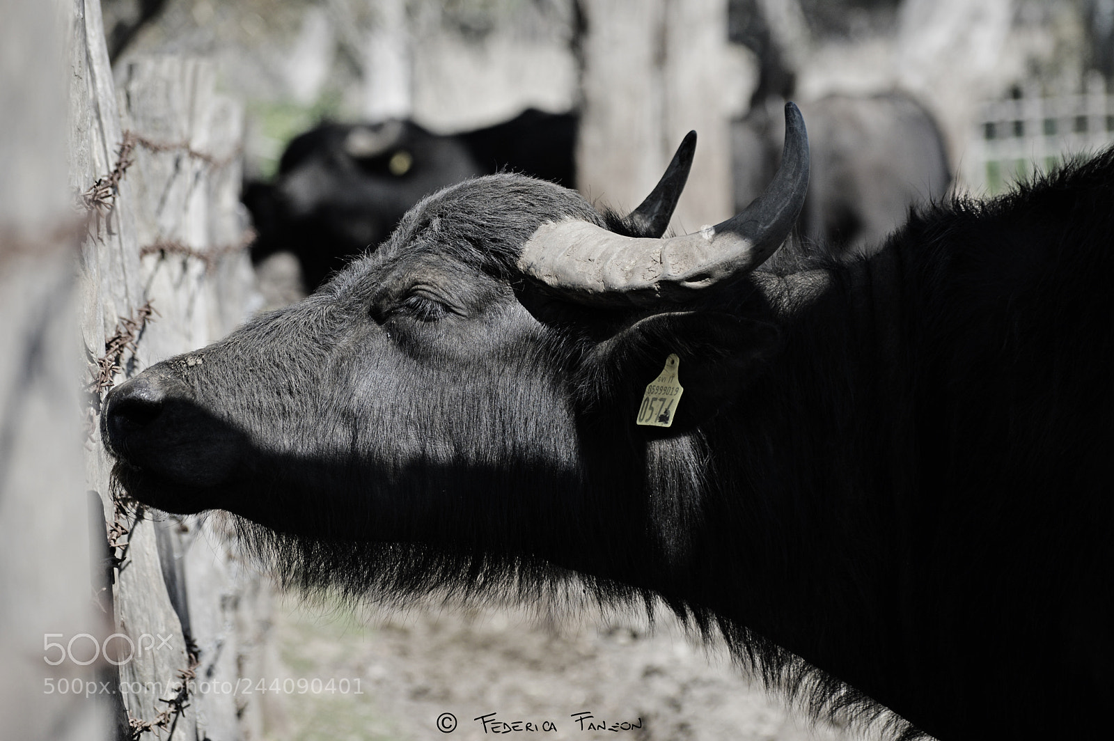 Nikon D3200 sample photo. Hope ... photography