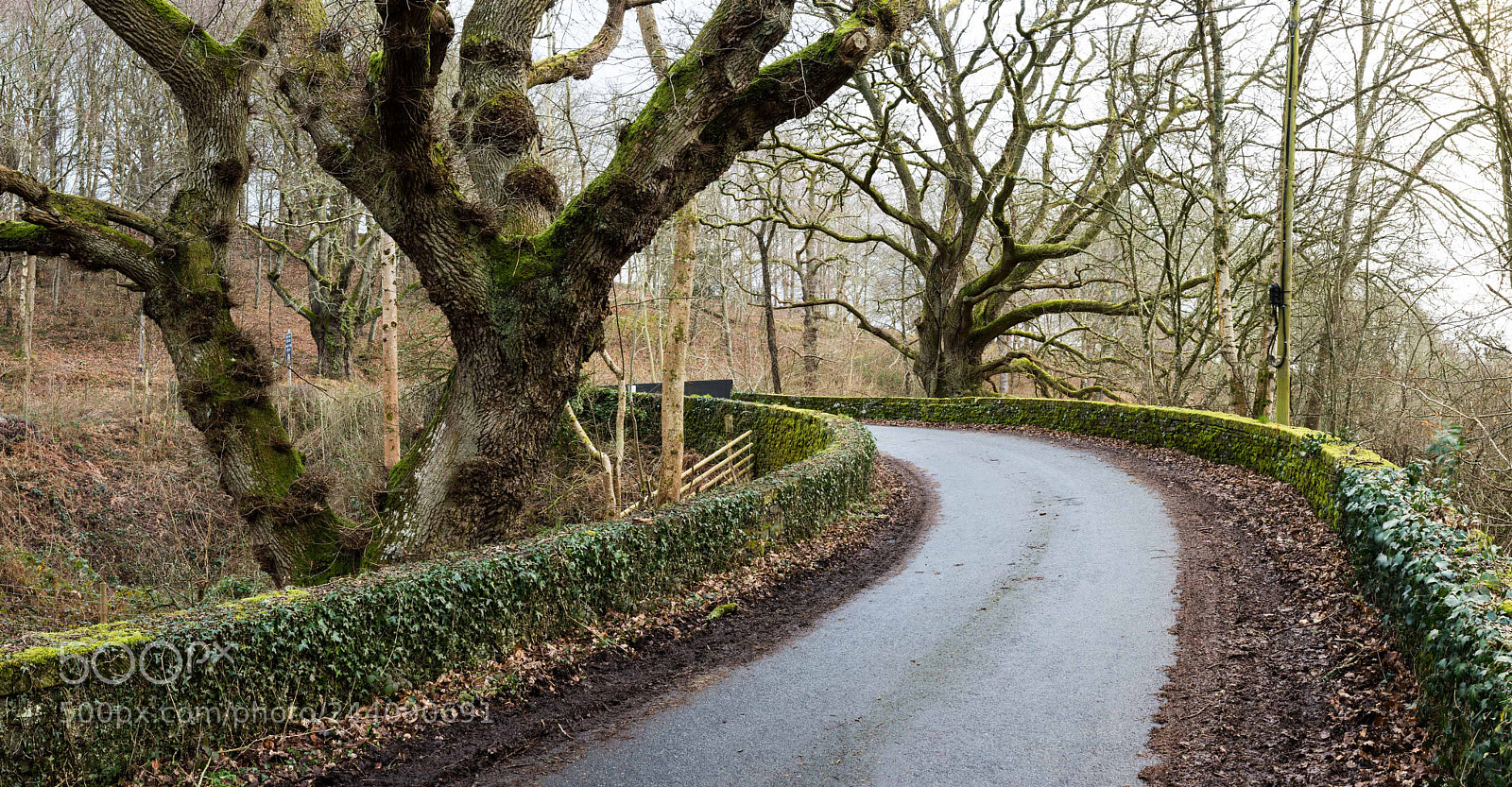 Nikon D7200 sample photo. Bends photography