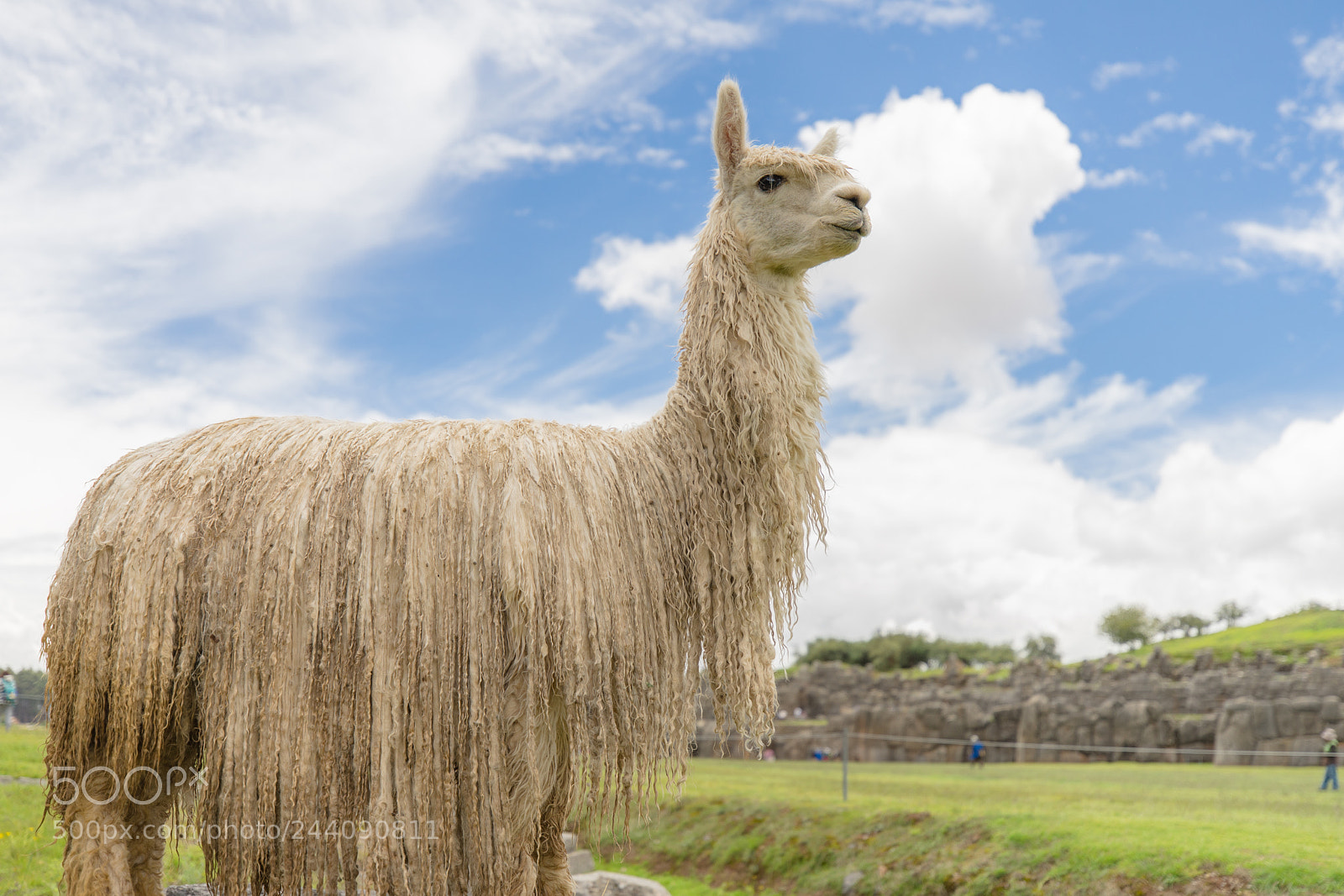 Sony a7 II sample photo. Peru photography