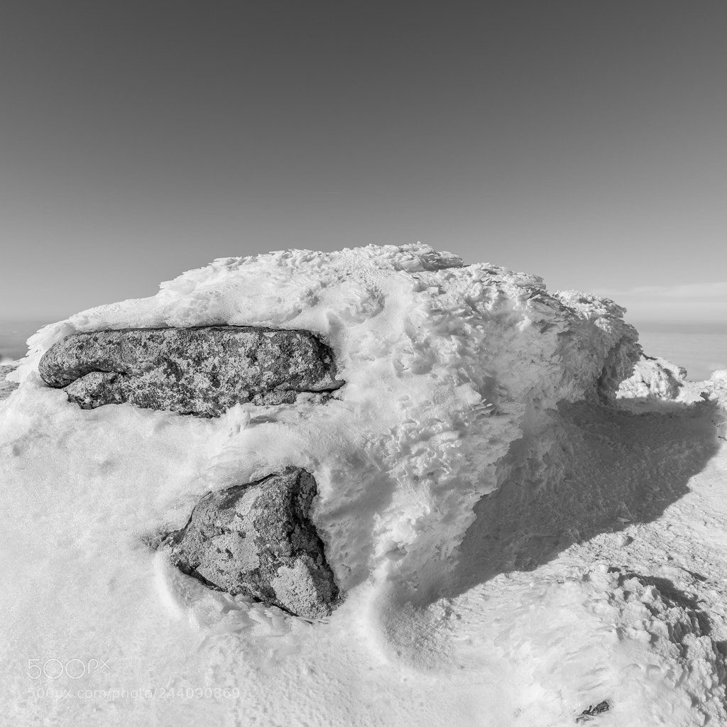 Nikon D610 sample photo. Rock in snow photography