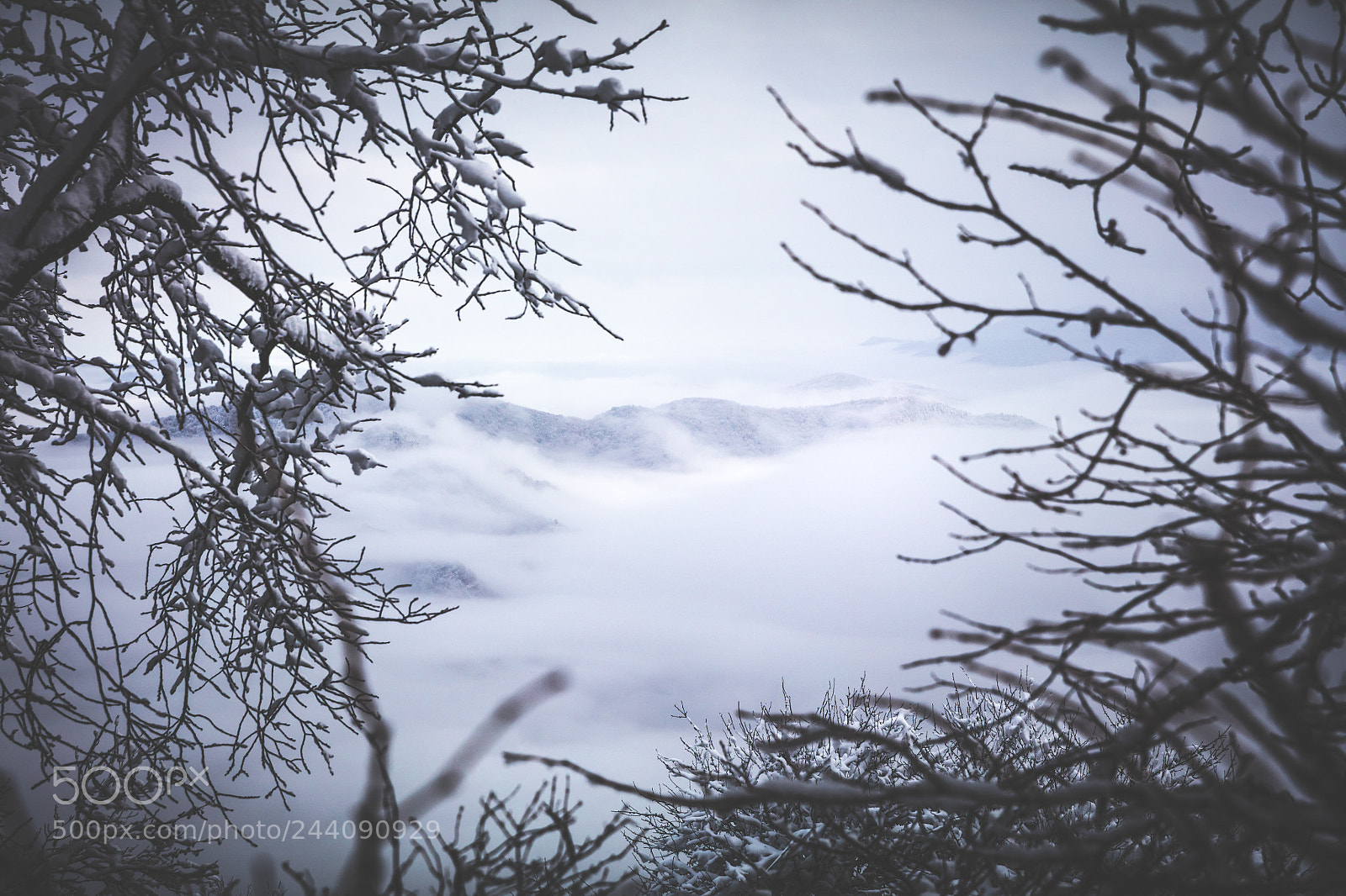 Canon EOS 5DS R sample photo. My window photography