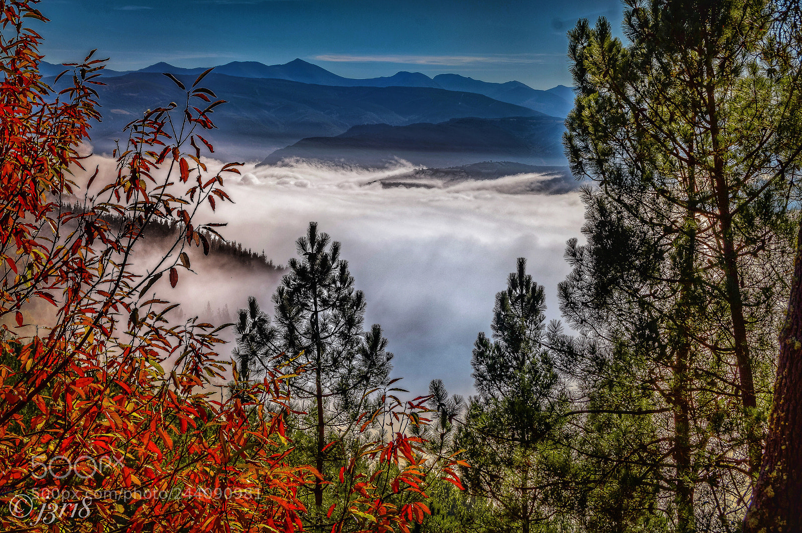 Nikon D3200 sample photo. Cloud forest in autumn photography