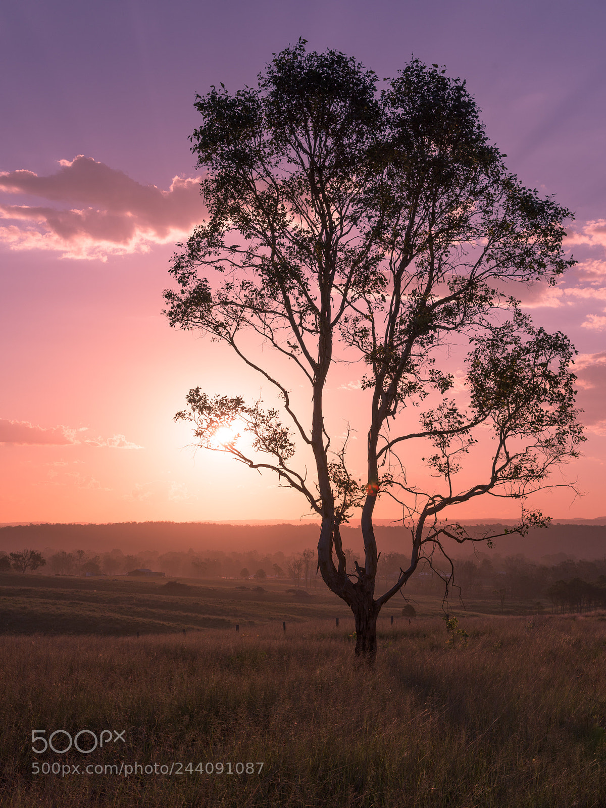 Nikon D810 sample photo. Sunset in the west photography