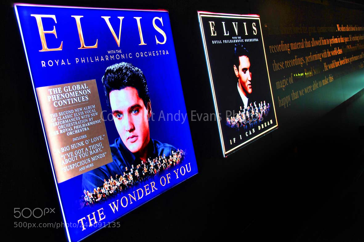 Nikon D3000 sample photo. Elvis presley on tour photography