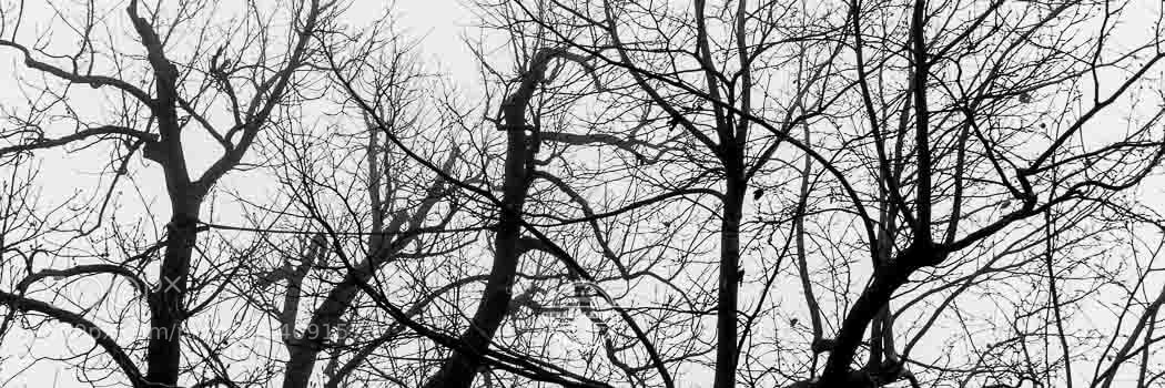 Canon EOS M5 sample photo. Vogelsburg am main photography