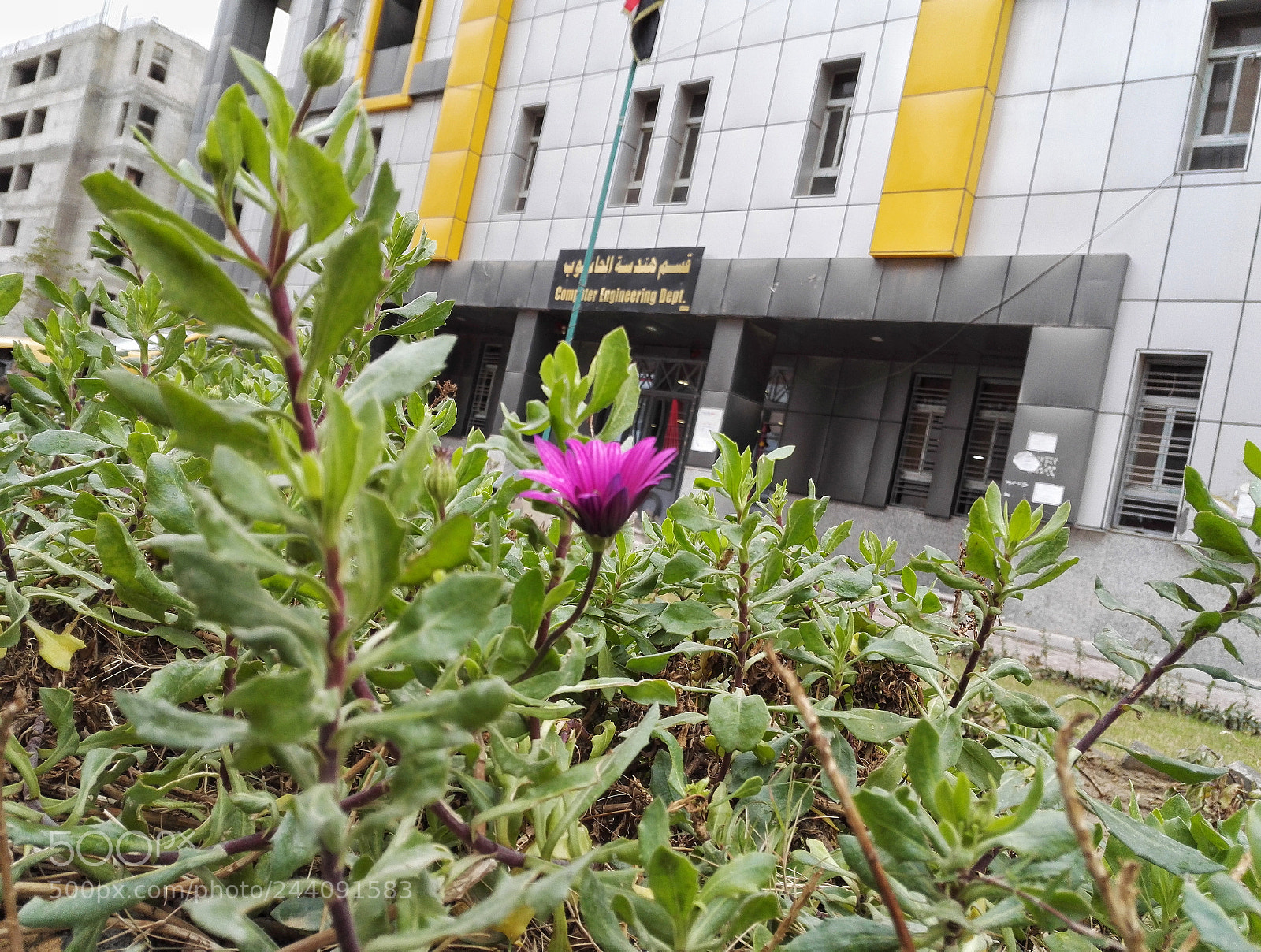 HUAWEI Honor 7 sample photo. Untitled photography