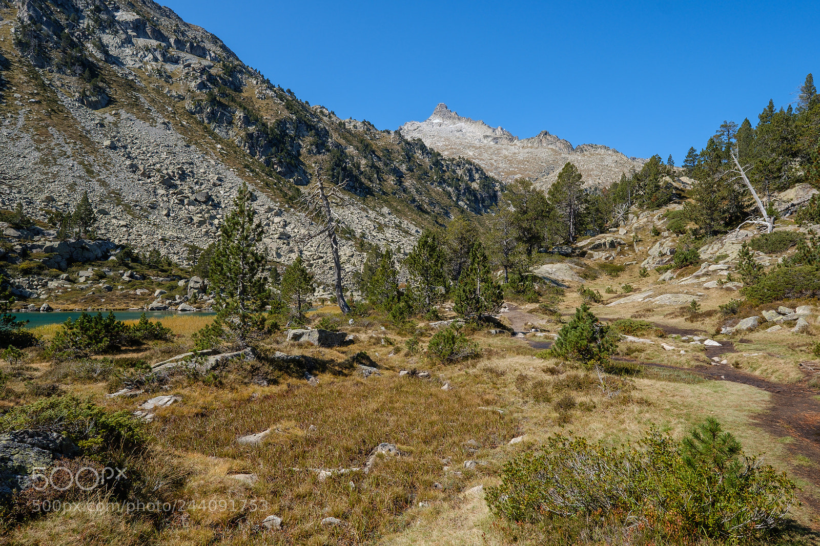Fujifilm X-T2 sample photo. Hiking trail in the photography