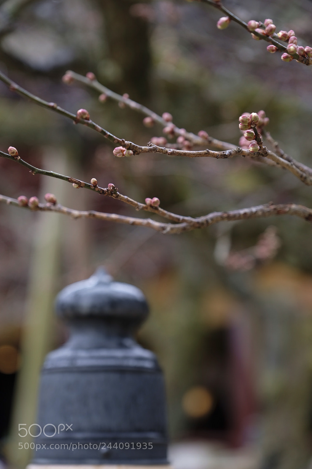 Fujifilm X-Pro2 sample photo. Untitled photography