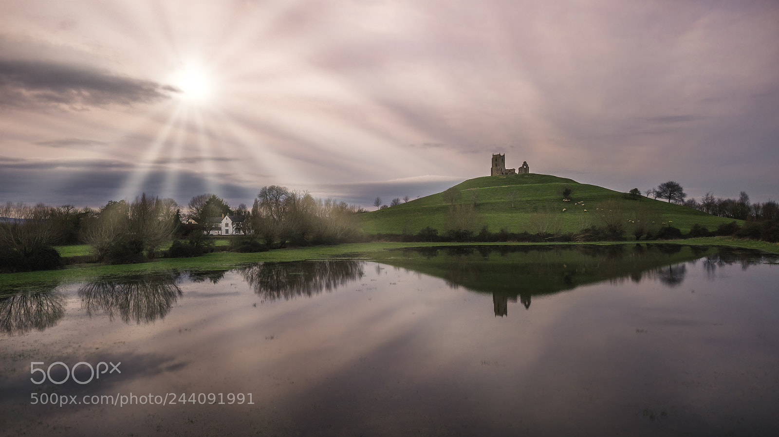 DJI FC220 sample photo. Burrow mump at sunset photography