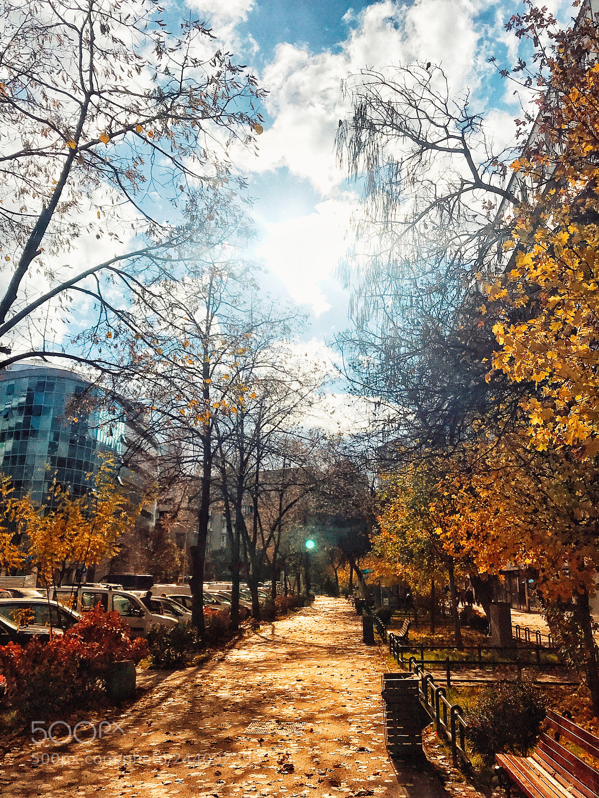 Apple iPhone 7 Plus sample photo. Sidewalk inspiration photography