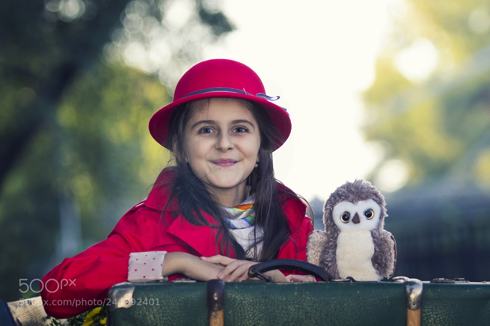 Canon EOS 60D sample photo. Dv and owl photography