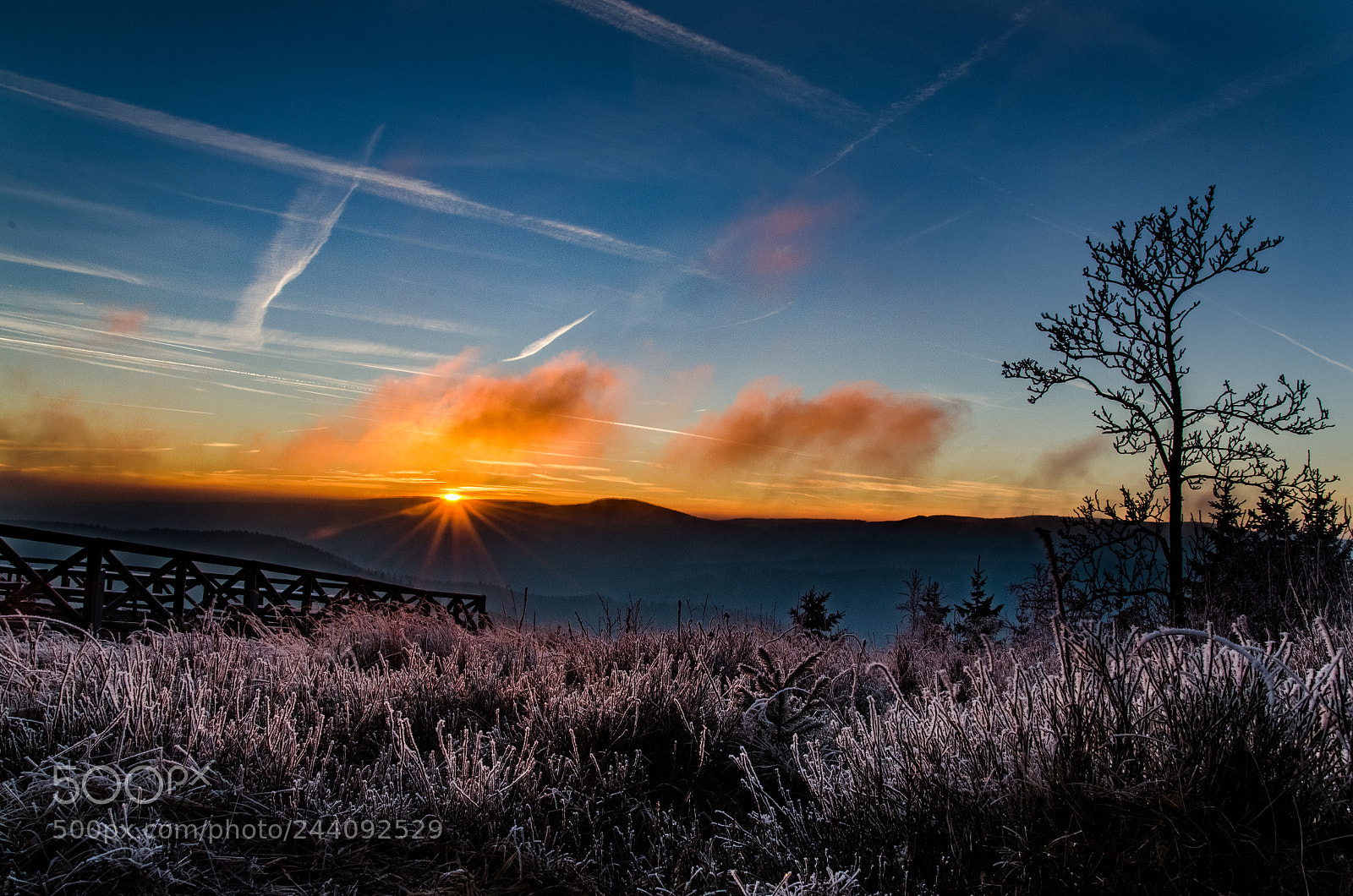 Nikon D5100 sample photo. Frosty field photography