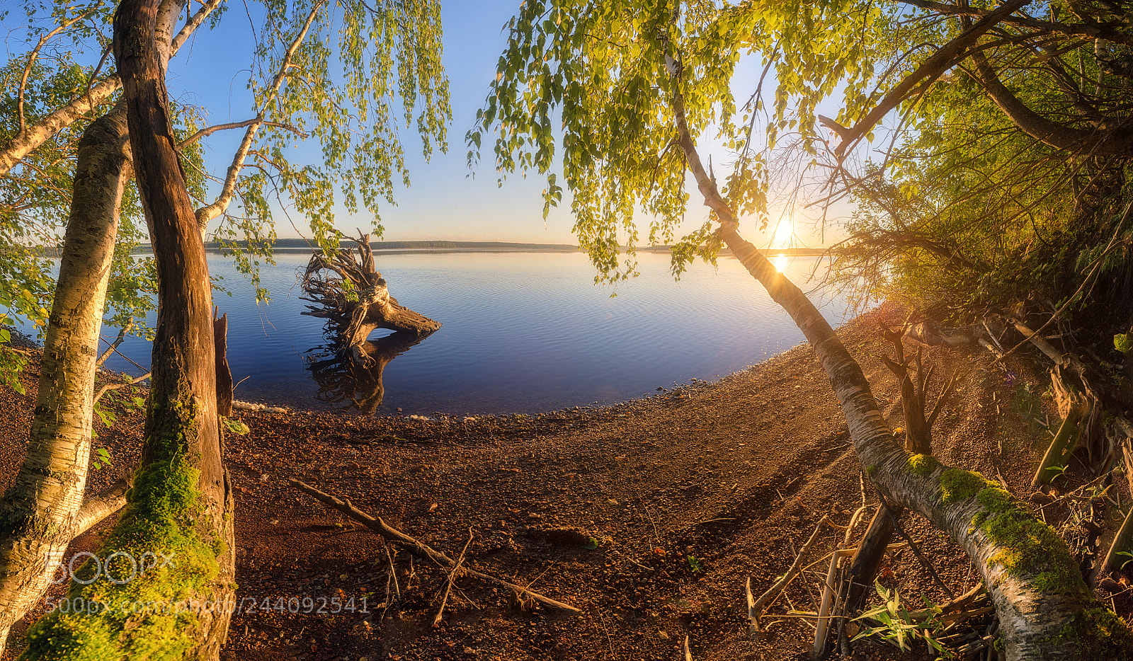 Nikon D610 sample photo. 830. morning on the photography