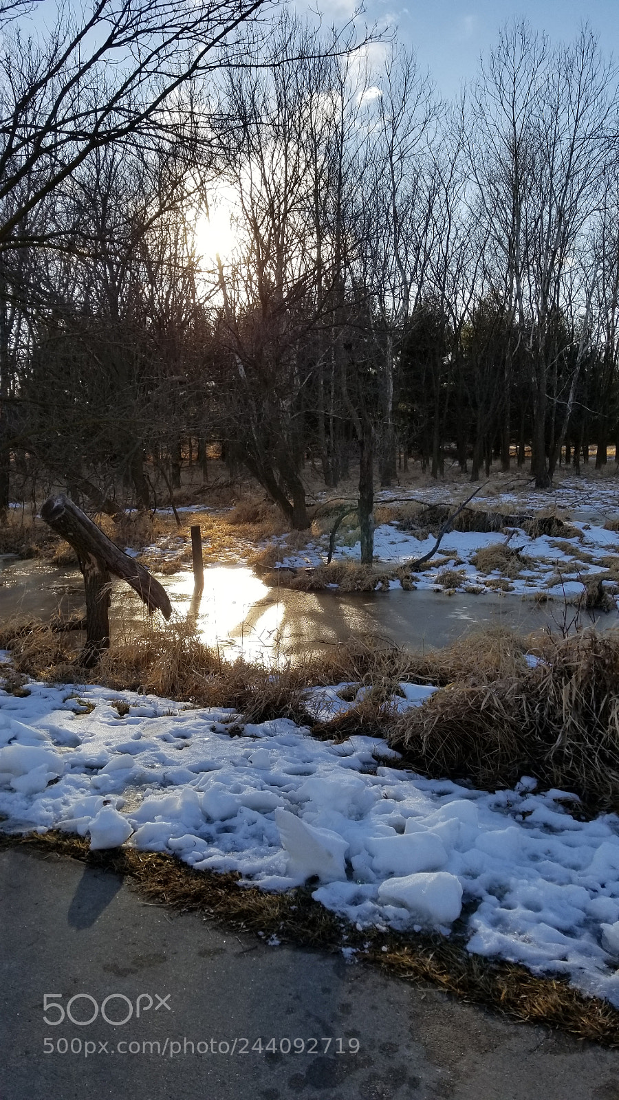 Samsung Galaxy S8+ sample photo. Untitled photography