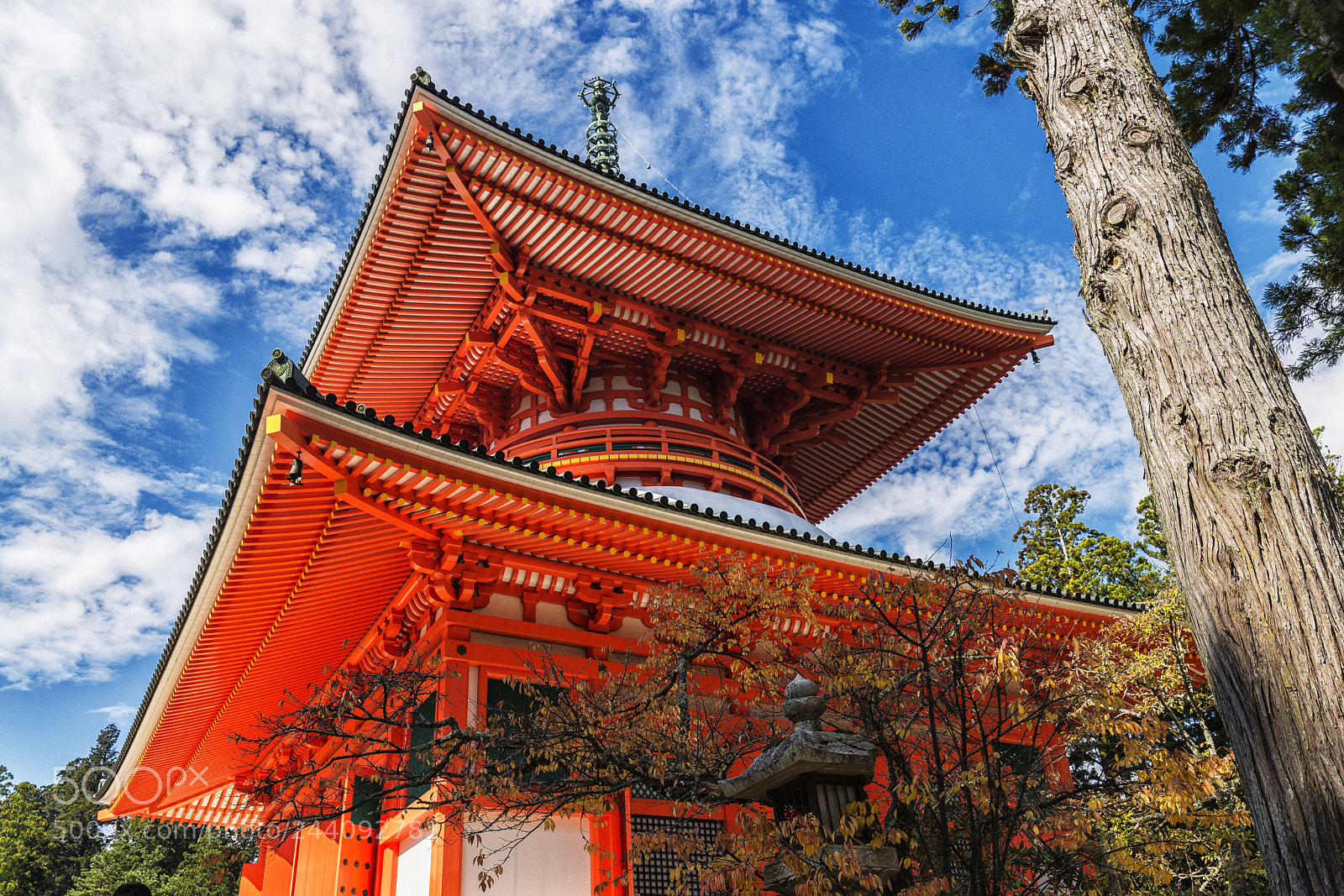Nikon D610 sample photo. Danjo garan pagoda photography