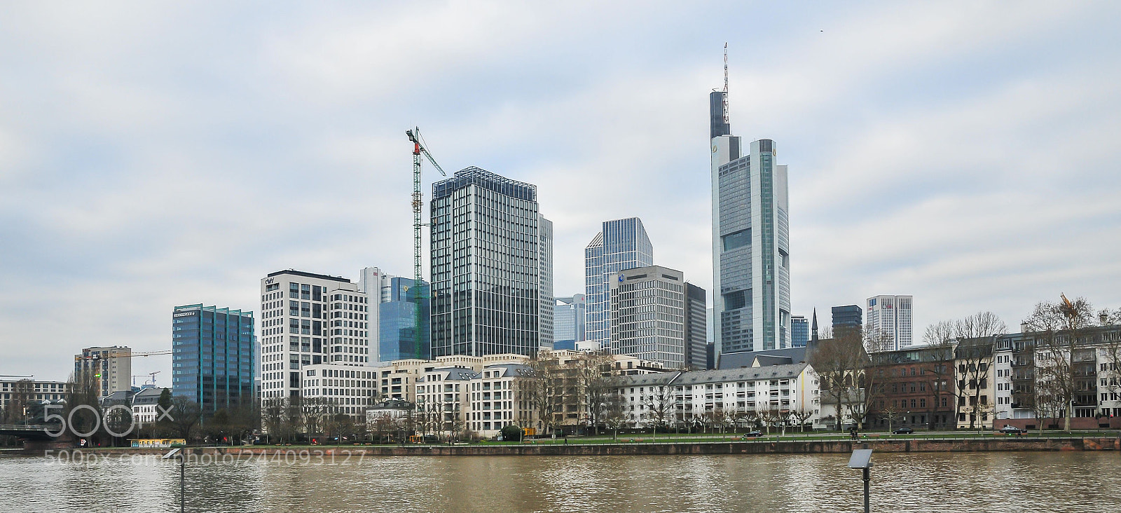 Nikon D300 sample photo. Skyline## photography