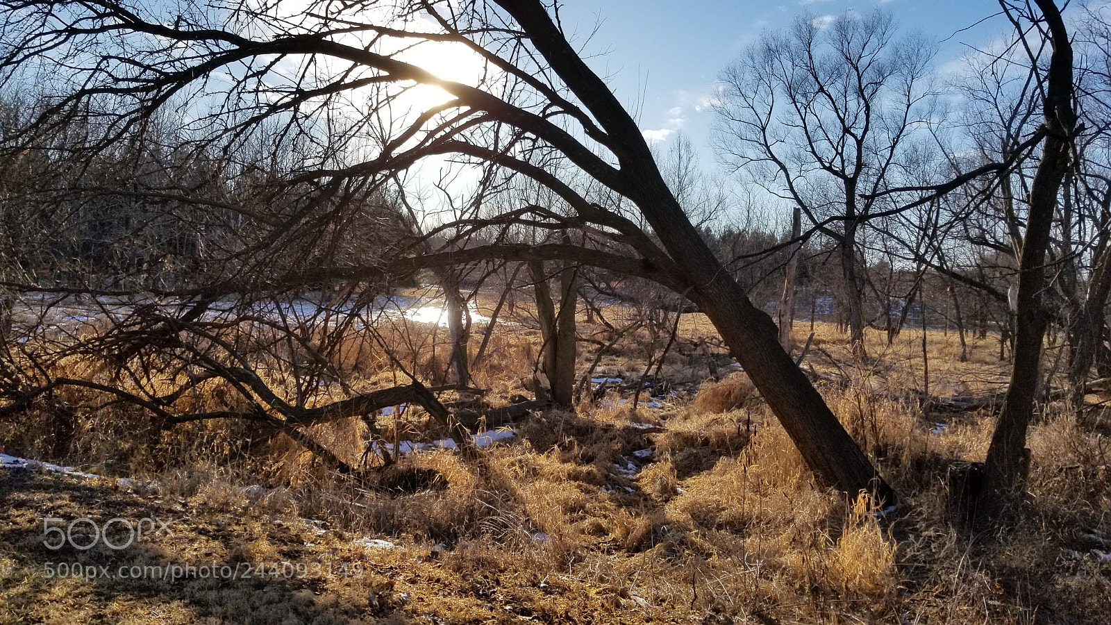 Samsung Galaxy S8+ sample photo. Sunset at chicalo nature photography