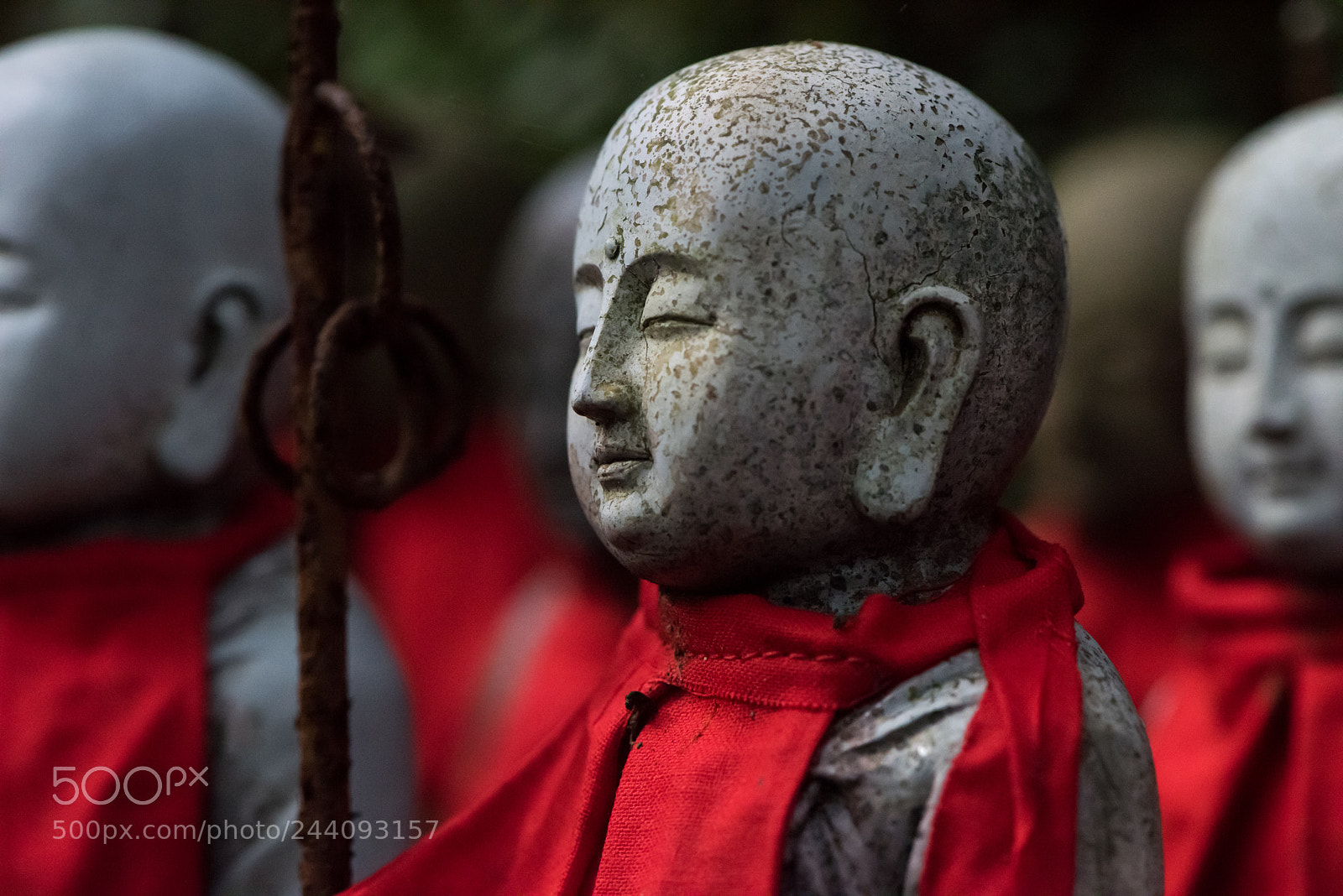 Nikon D810 sample photo. The statue guard of photography