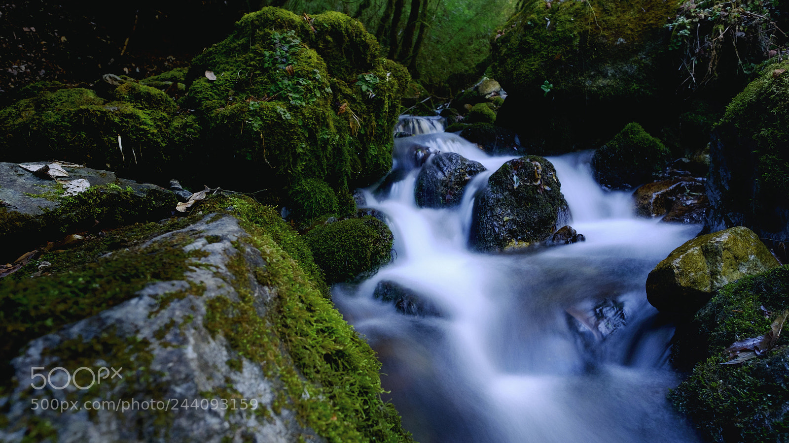 Fujifilm X-T1 sample photo. Nature capture stone and photography