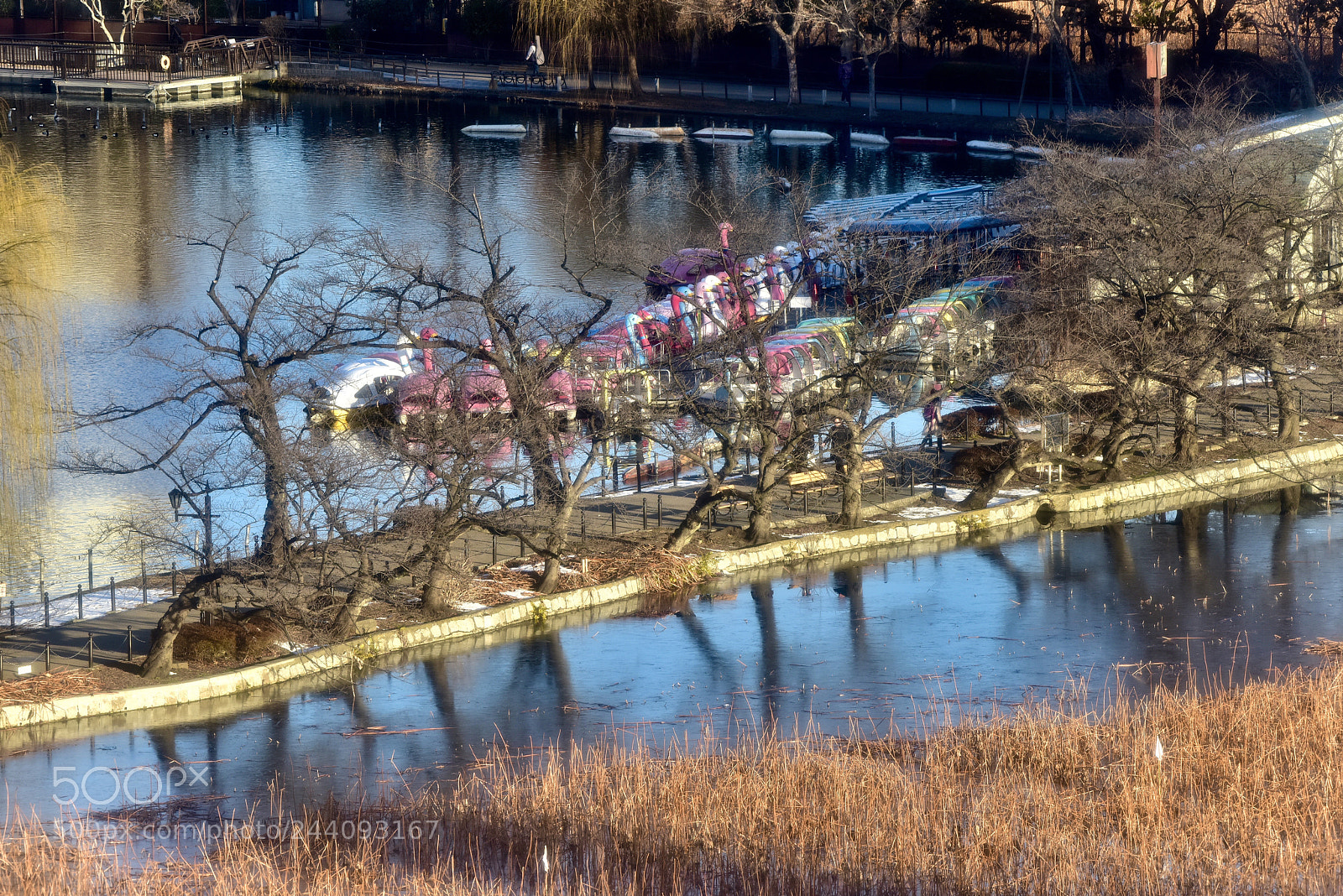 Nikon D810 sample photo. Boats on a partially photography