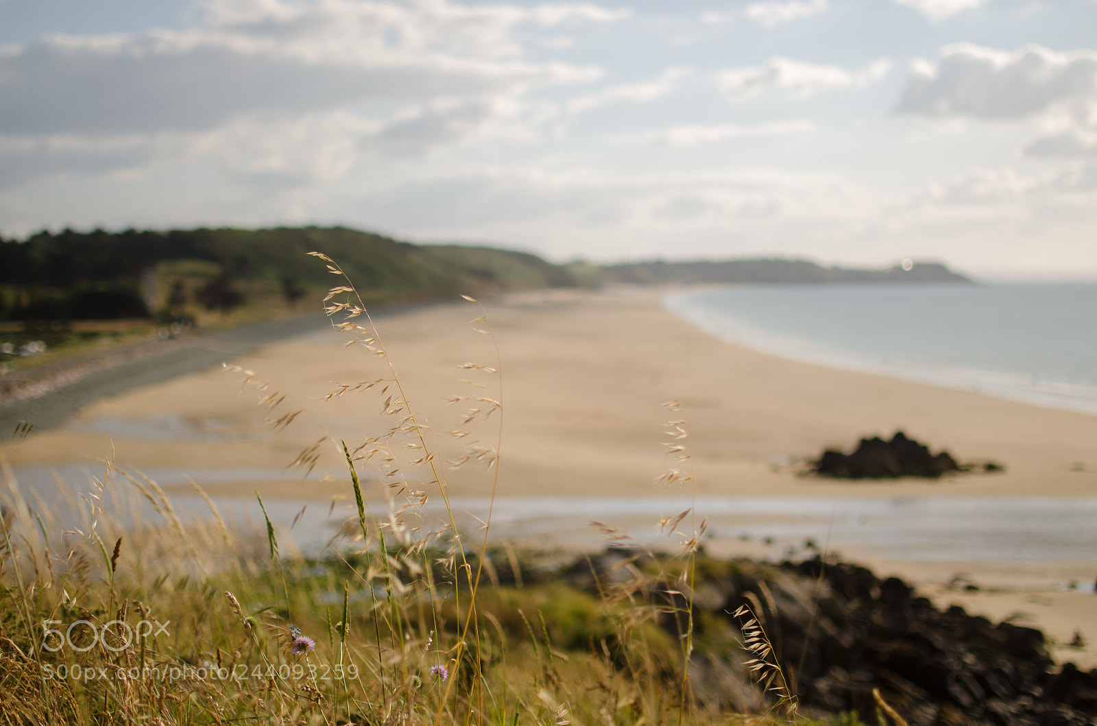 Nikon D5100 sample photo. Evening hour photography