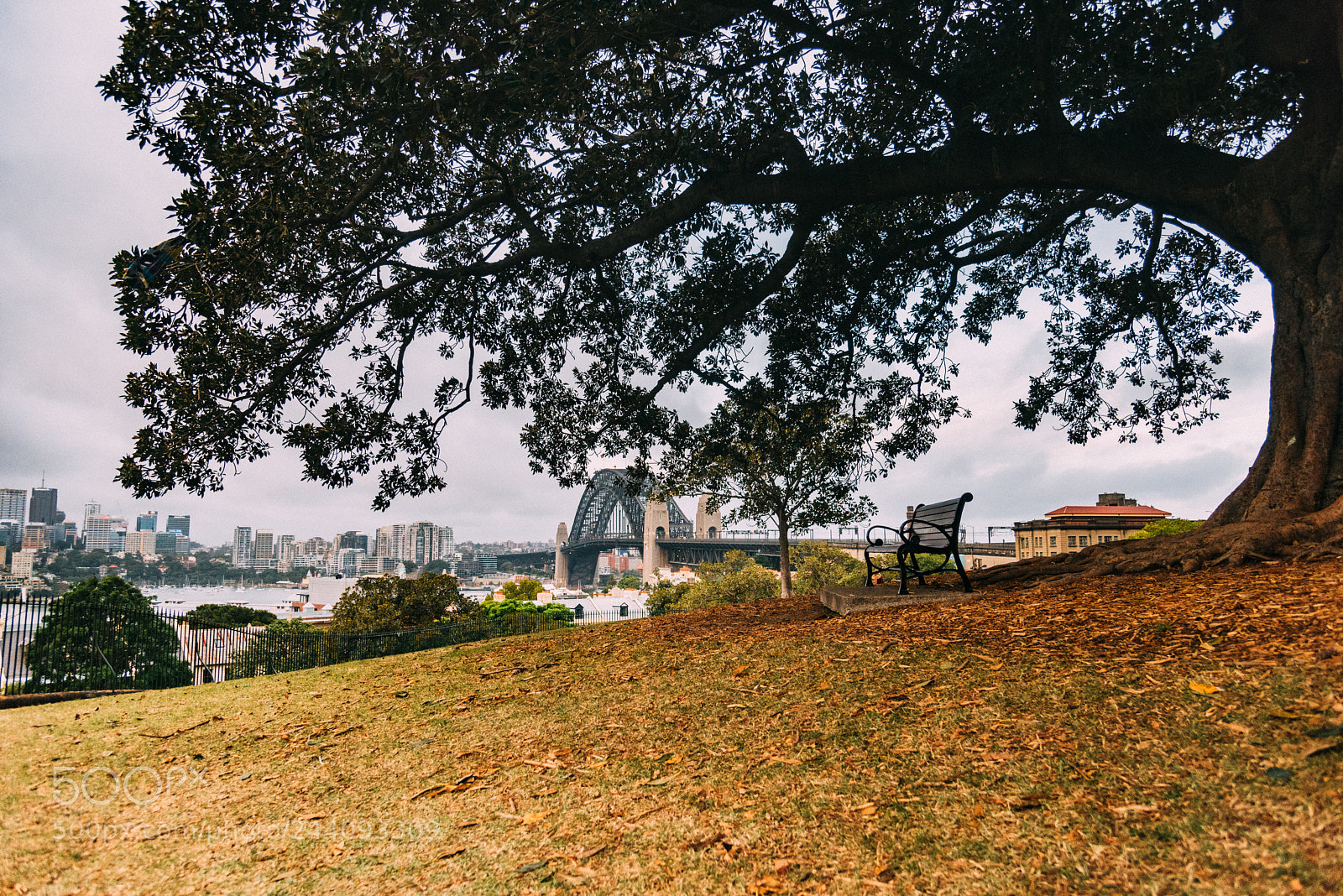 Nikon D810 sample photo. Sydney observatory photography