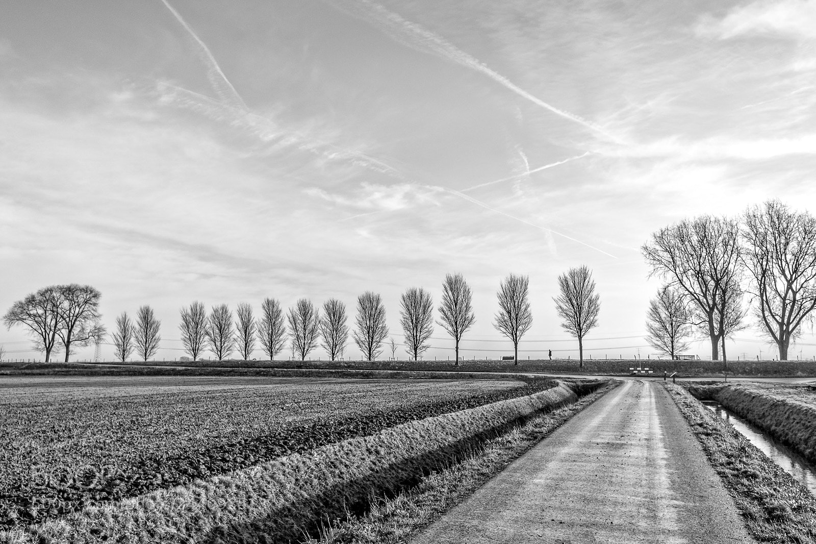 Fujifilm X70 sample photo. Eenzame wandelaar photography