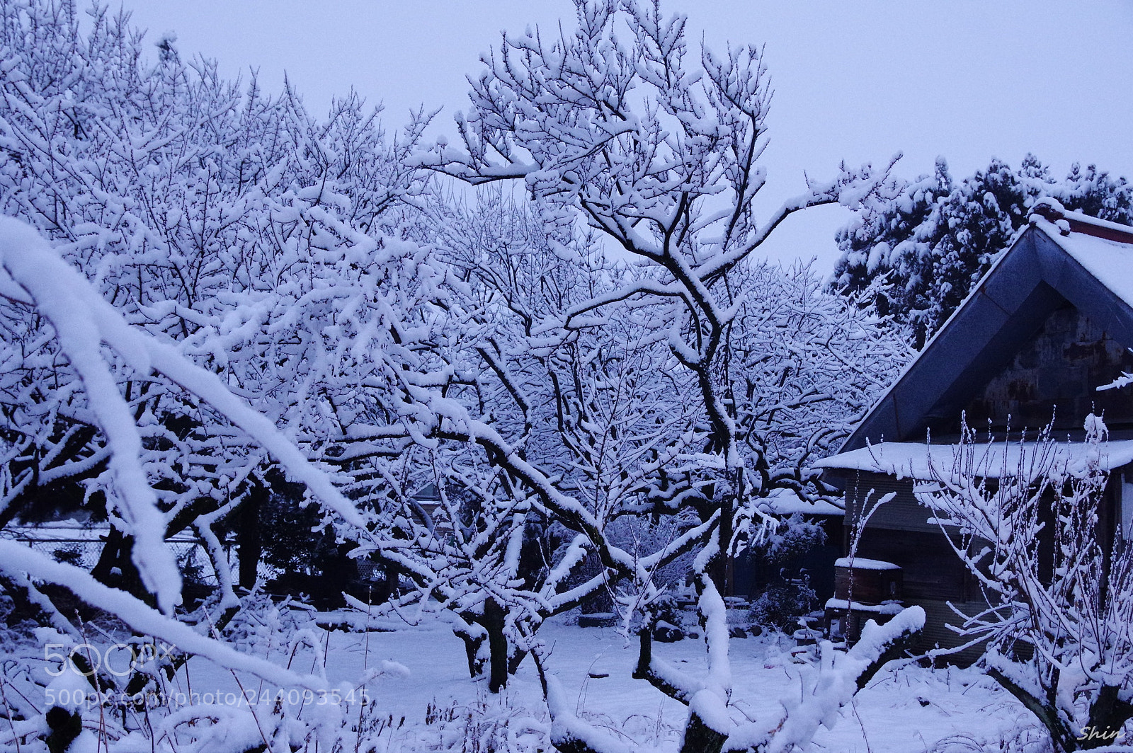 Pentax K-3 II sample photo. Japanese country house wearing photography