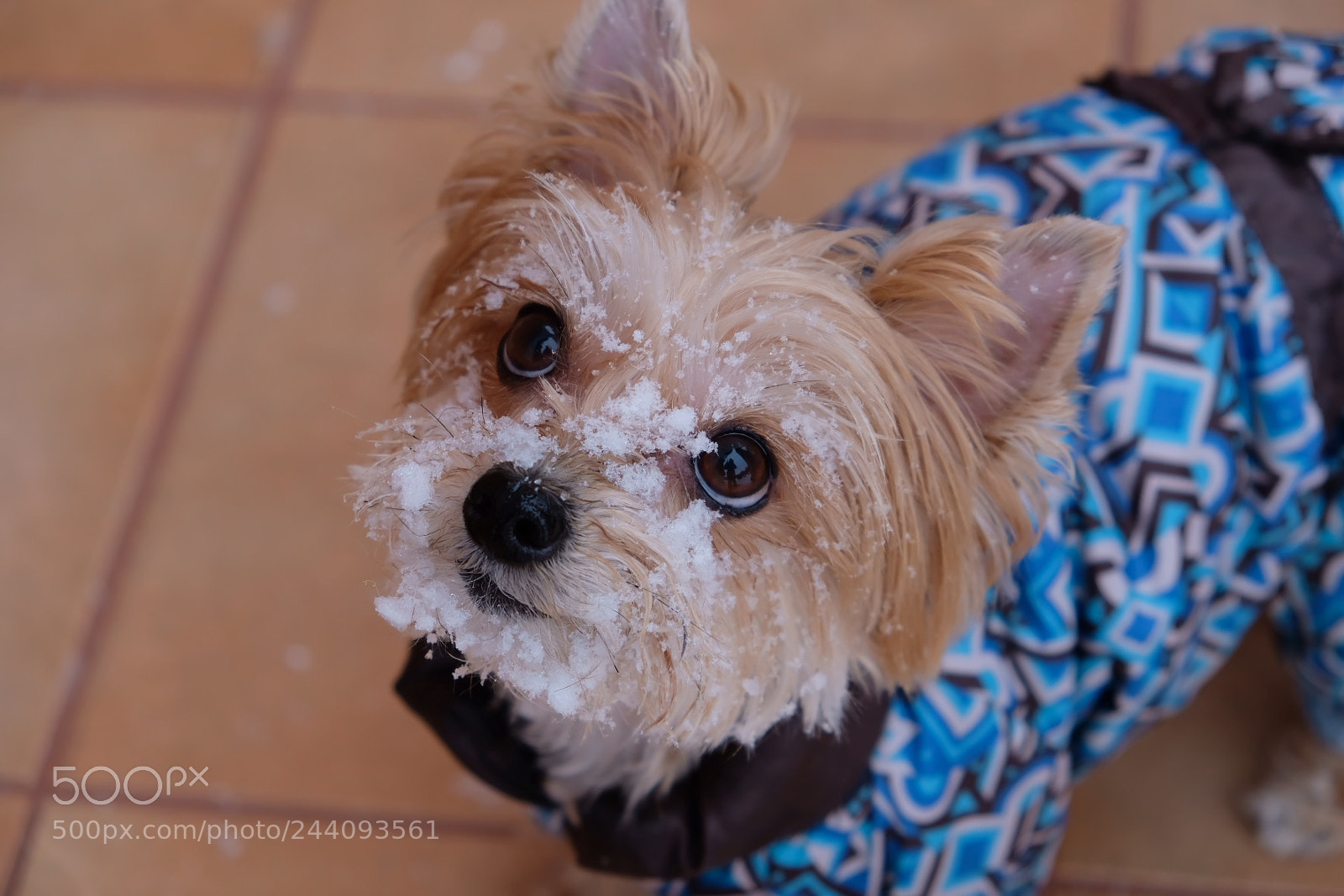 Fujifilm X-T20 sample photo. Untitled photography