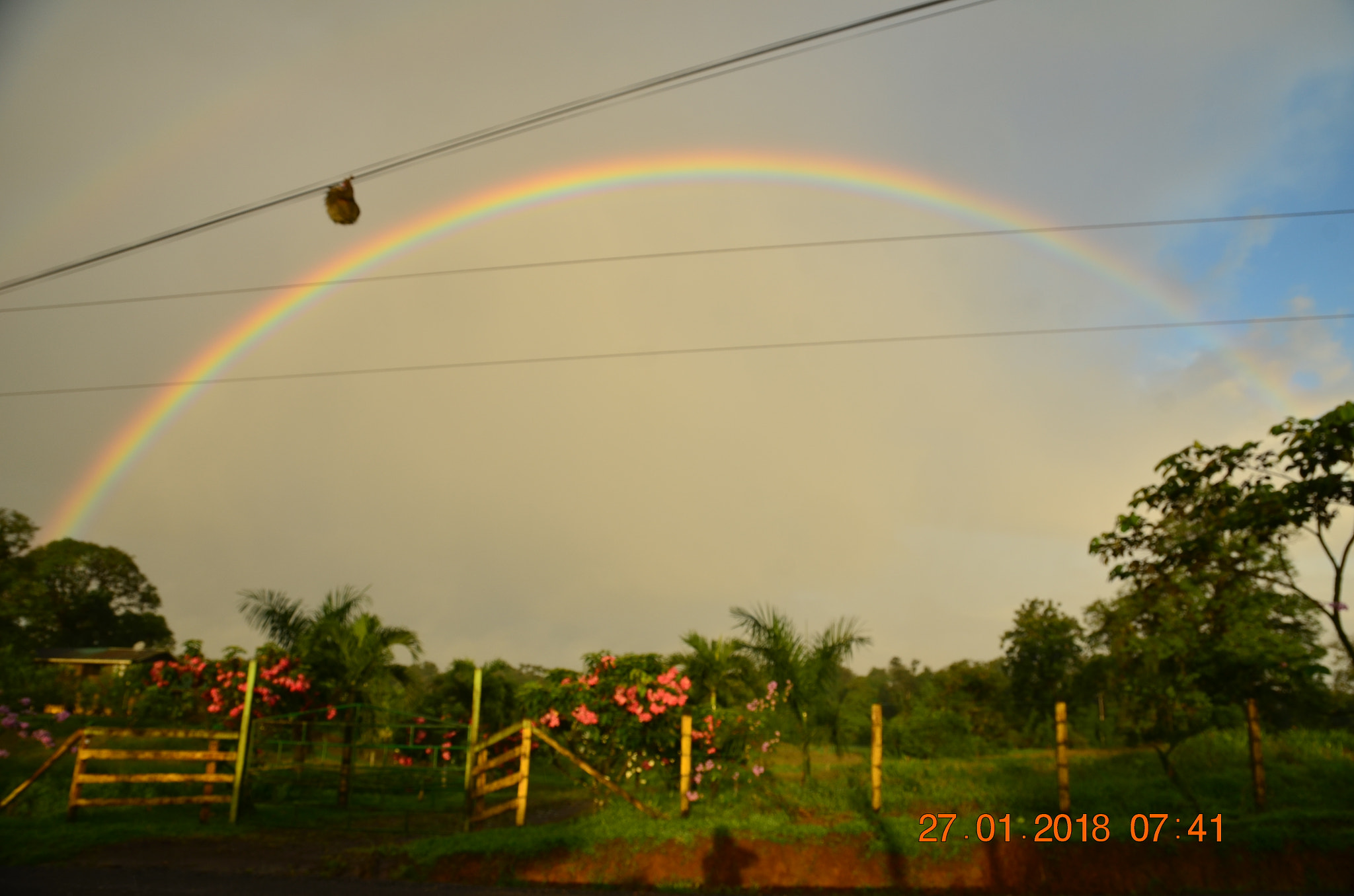 Nikon D5100 sample photo. Sloth on the cable under the rainbow photography