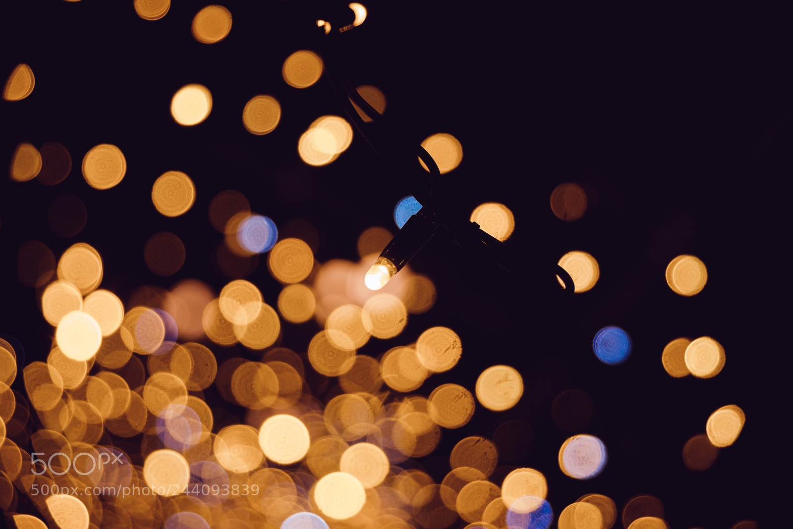 Nikon D610 sample photo. The endless holiday photography