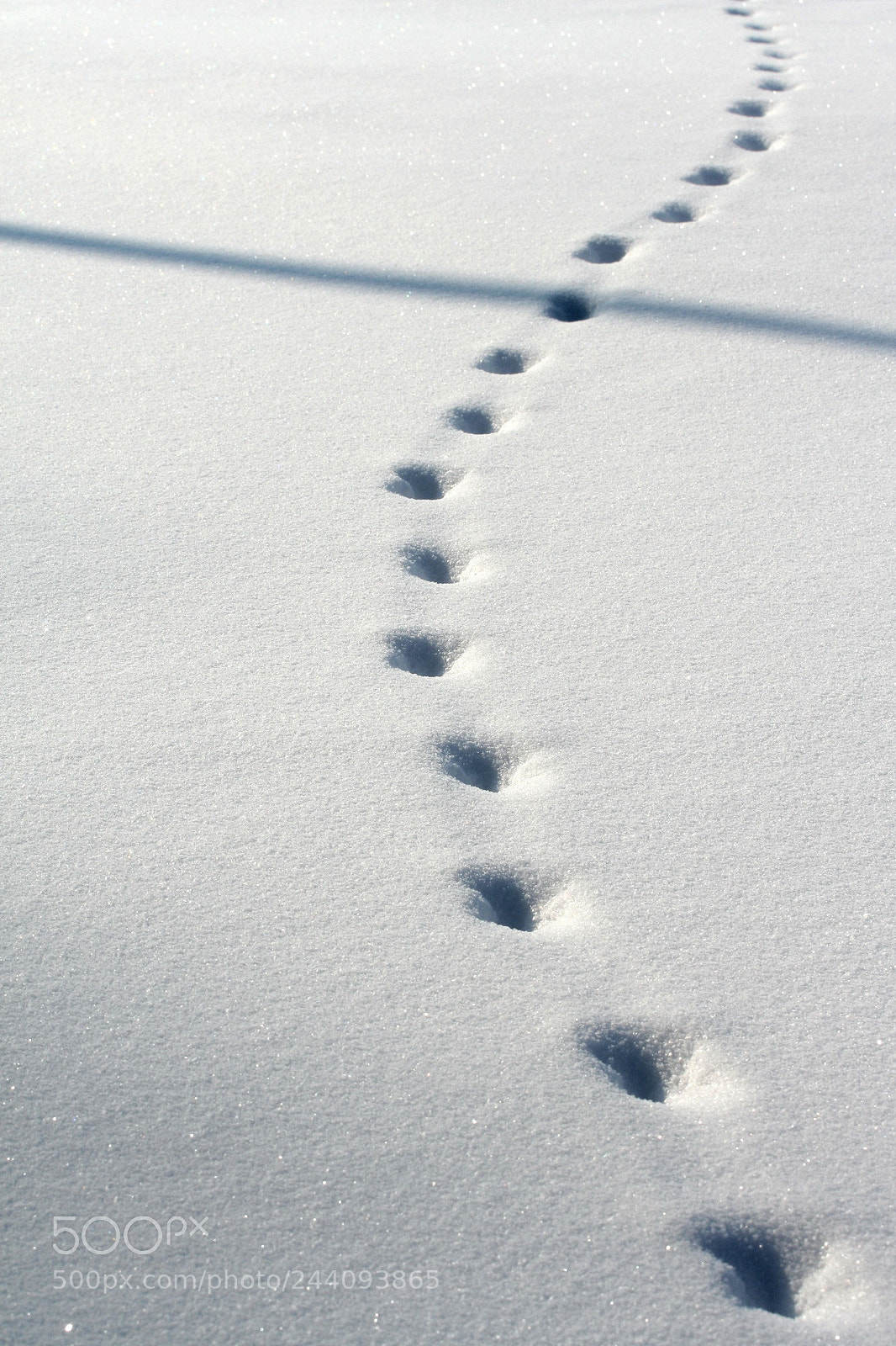 Canon EOS 350D (EOS Digital Rebel XT / EOS Kiss Digital N) sample photo. Snow tracks. photography