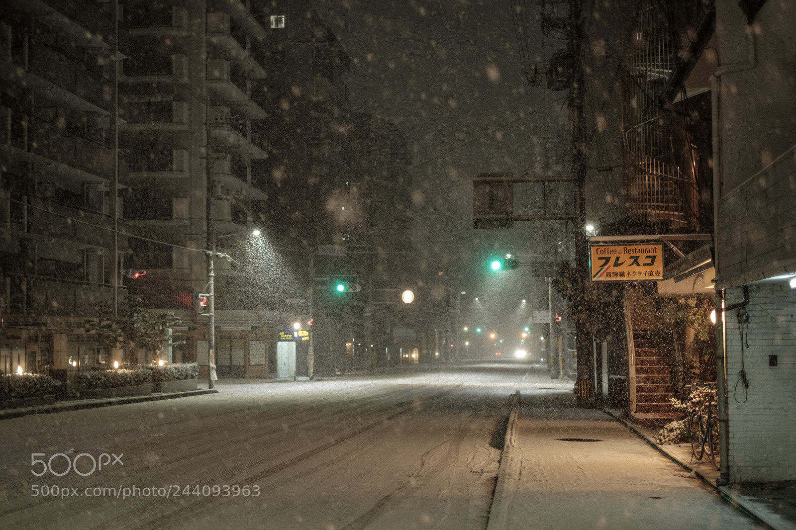 Fujifilm X-Pro2 sample photo. Dscf photography
