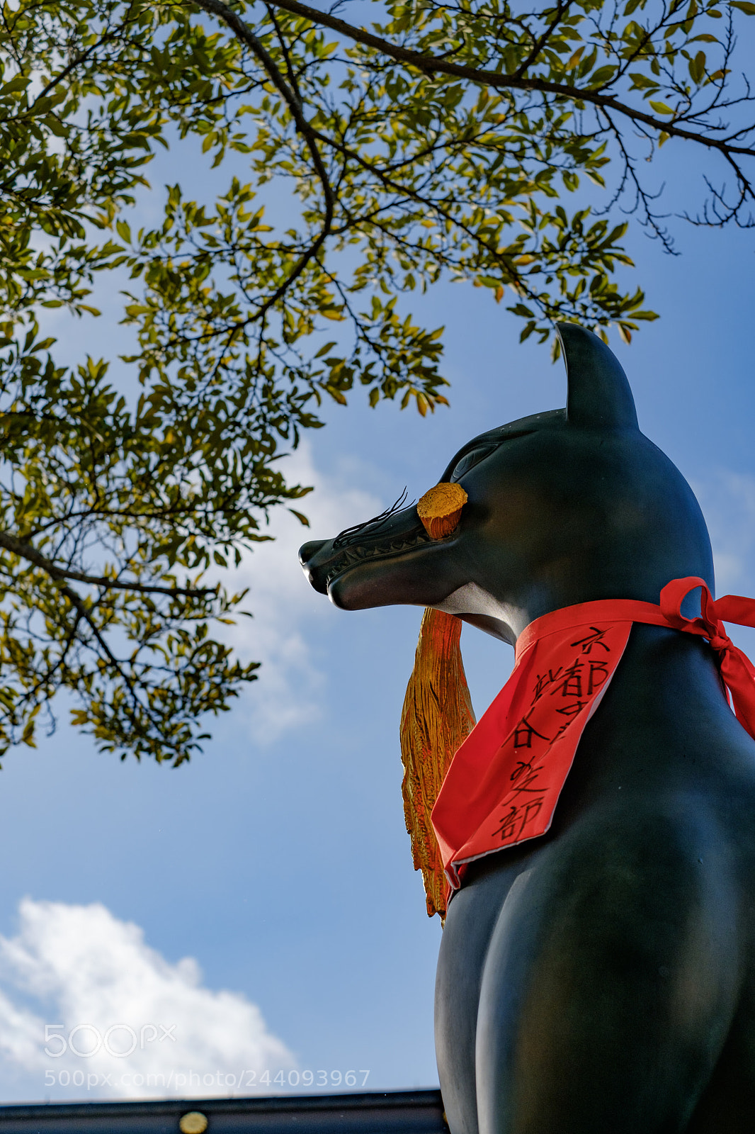 Fujifilm X-Pro2 sample photo. Dscf photography