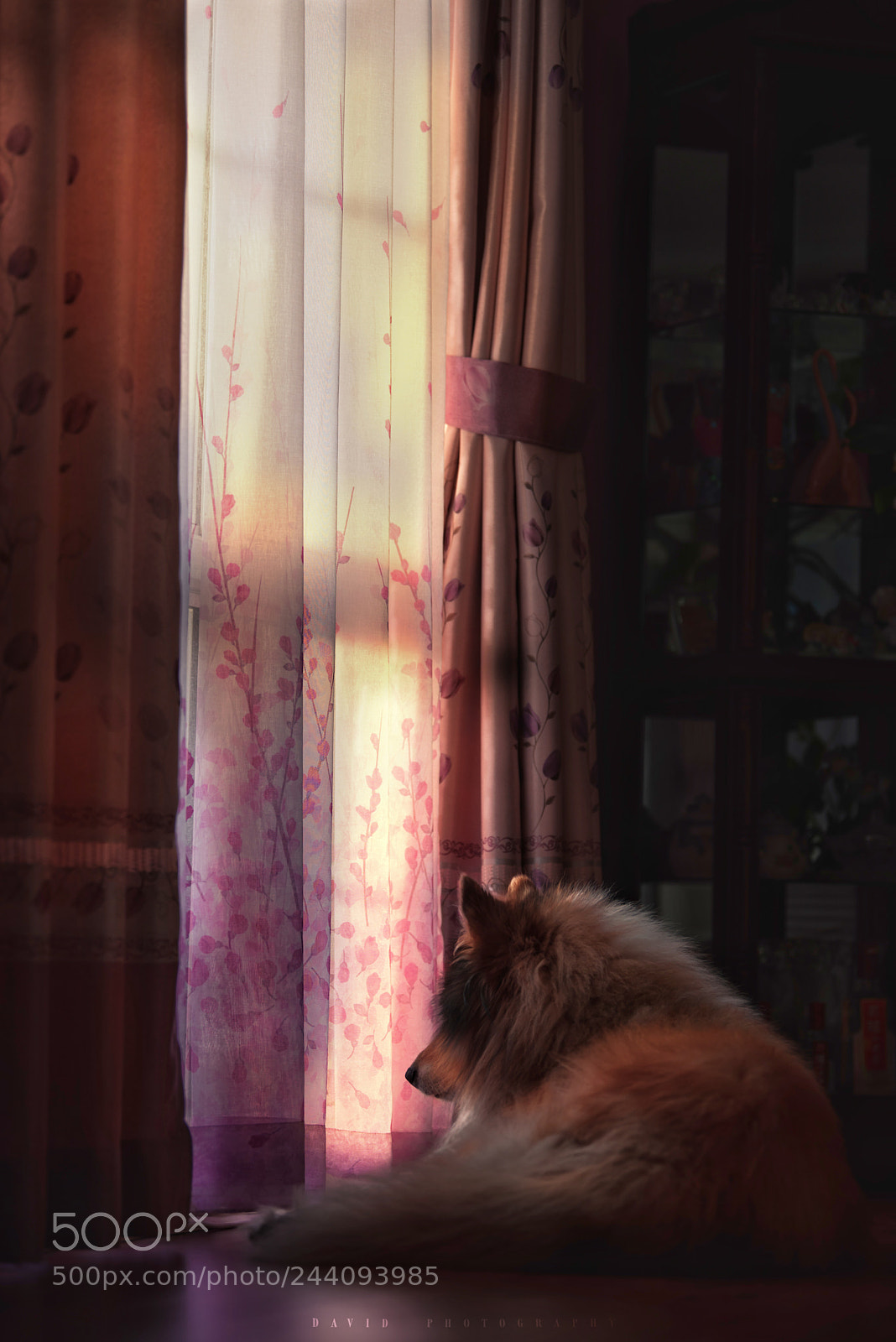 Nikon D810 sample photo. Wait photography