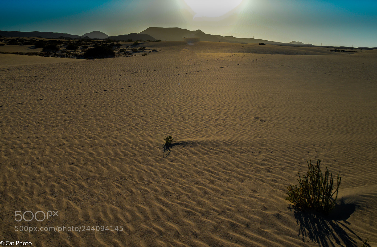 Nikon D3200 sample photo. Dunas de corralejo (fuerteventura) photography