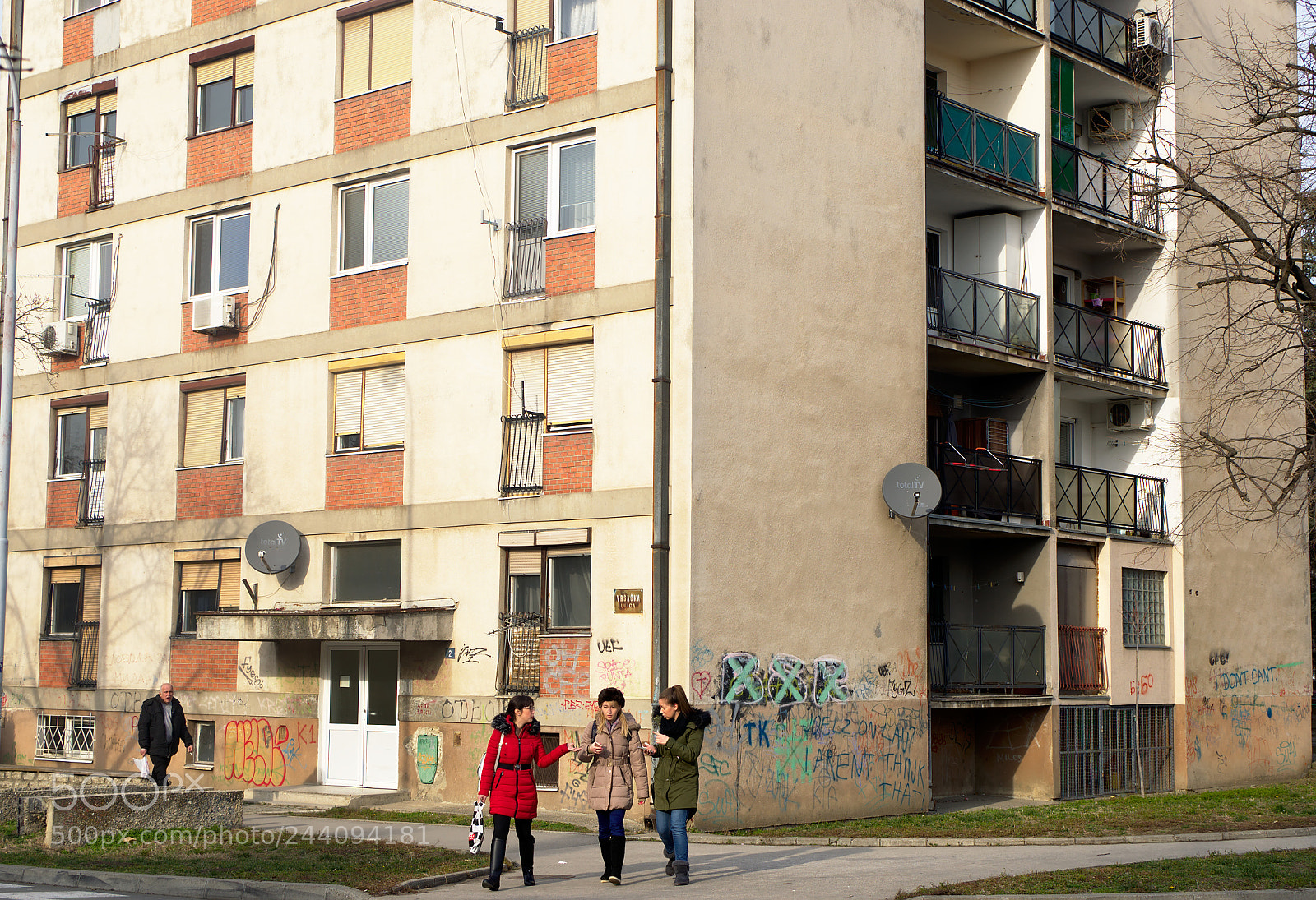 Nikon D5100 sample photo. Kotez photography
