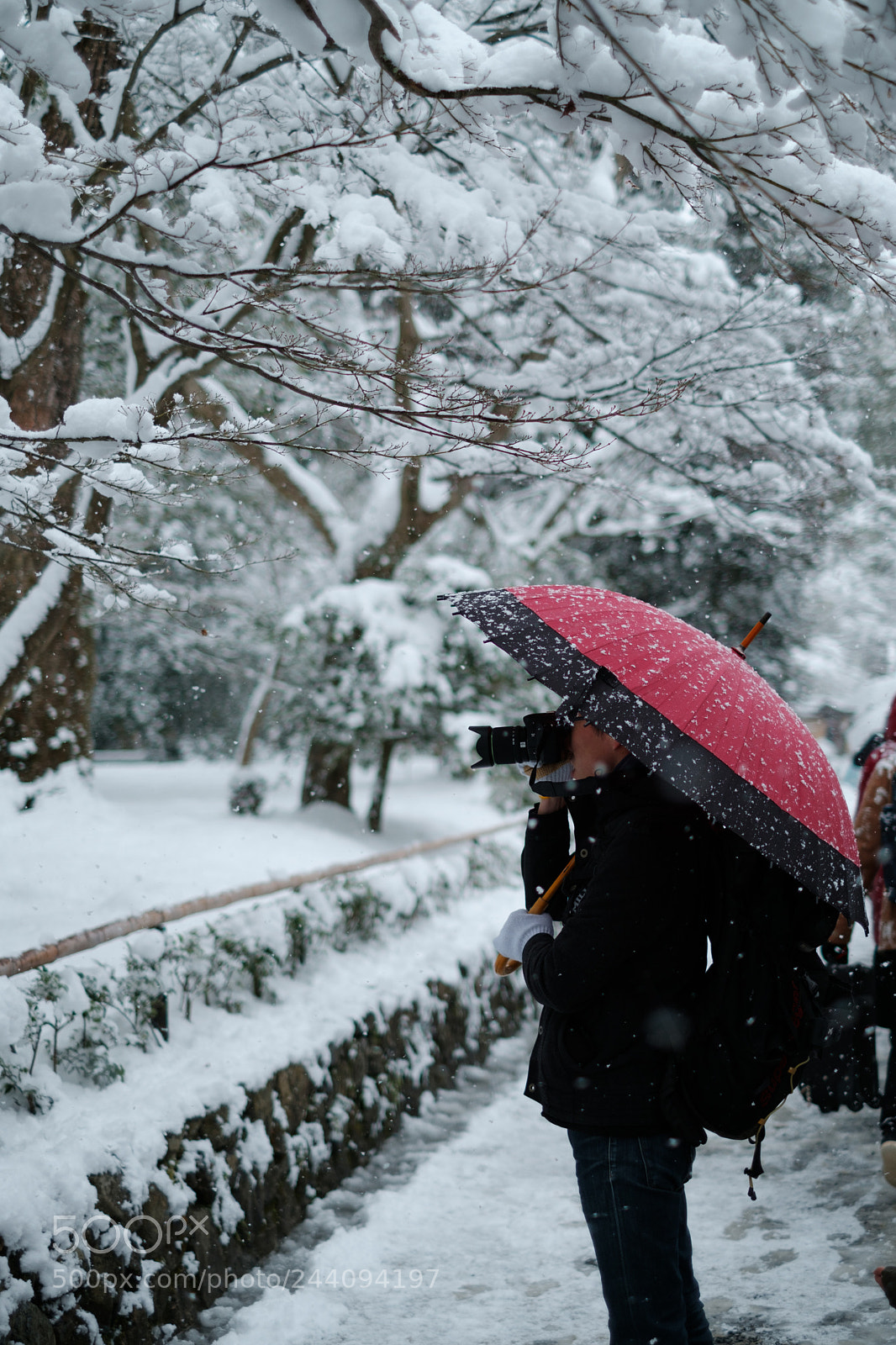 Fujifilm X-Pro2 sample photo. Dscf photography