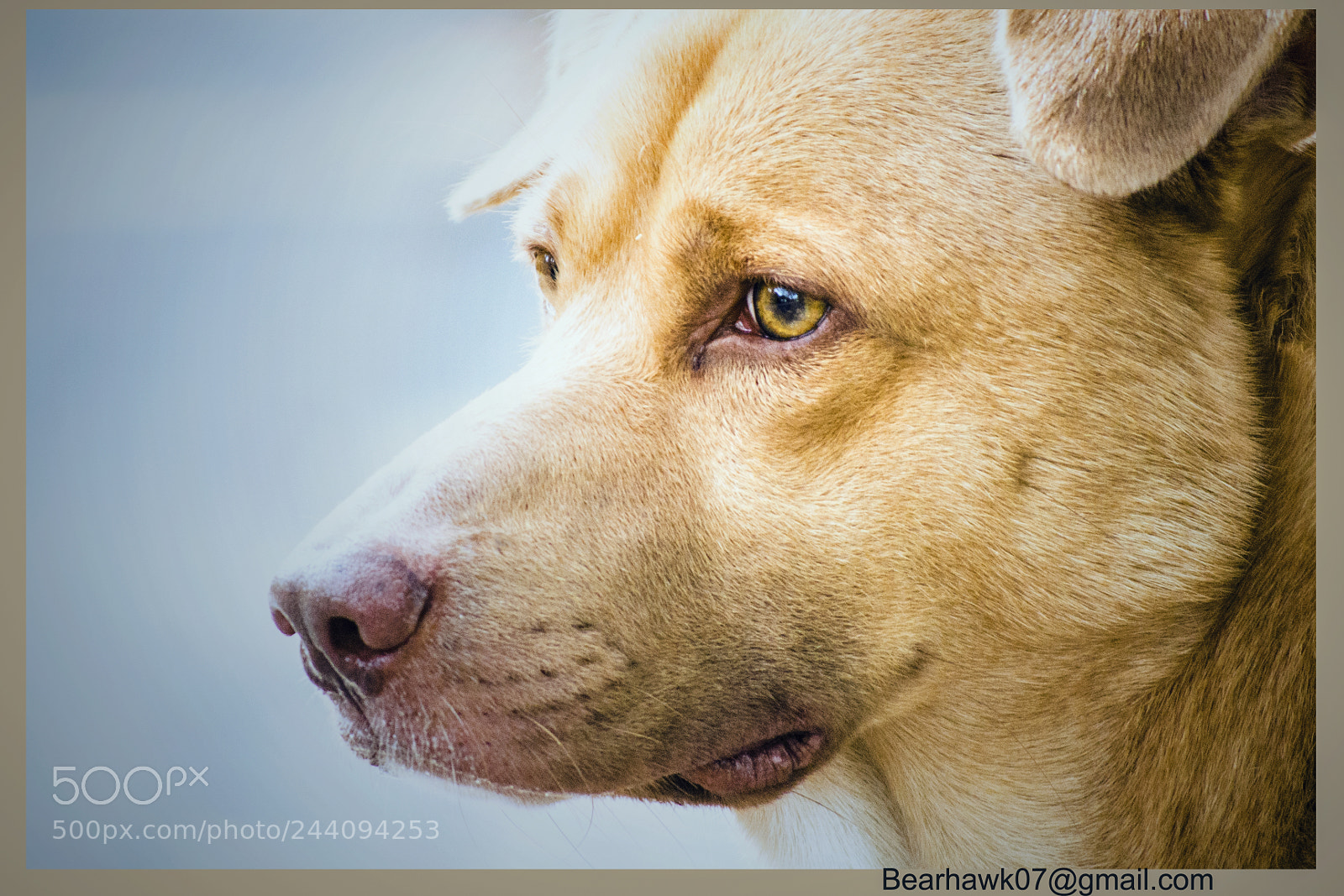 Nikon D7200 sample photo. 053.jpg photography