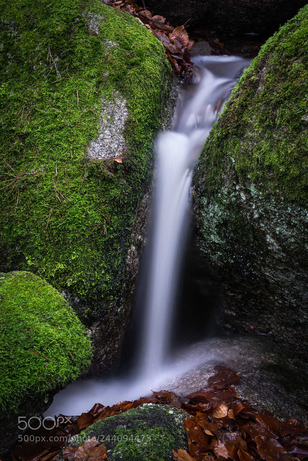 Nikon D610 sample photo. Falling water photography