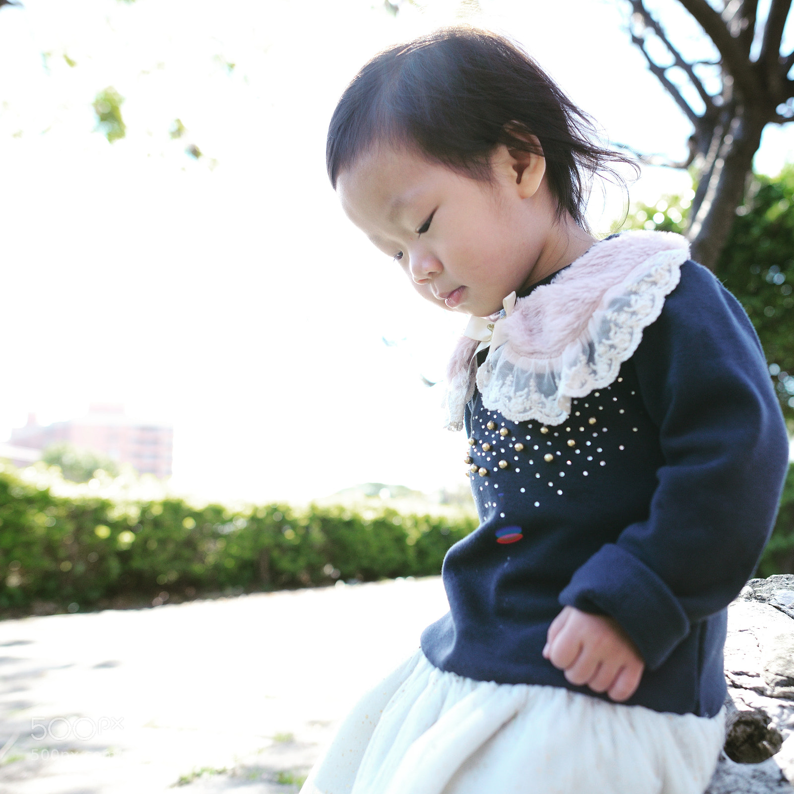 Nikon D800 sample photo. Untitled photography