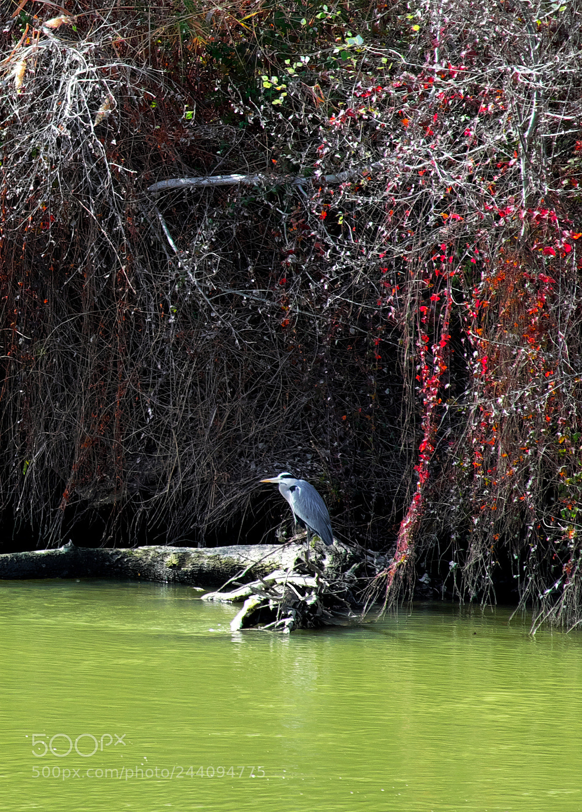 Fujifilm X-M1 sample photo. Emerald waters photography