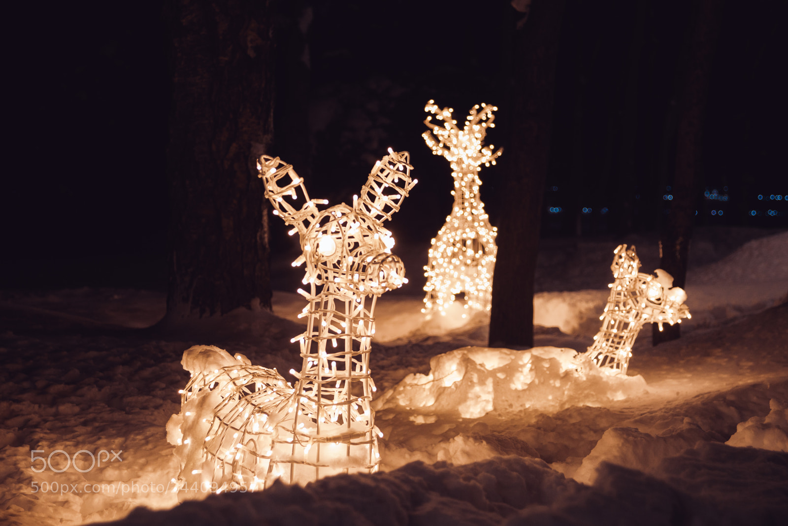 Nikon D610 sample photo. The endless holiday photography