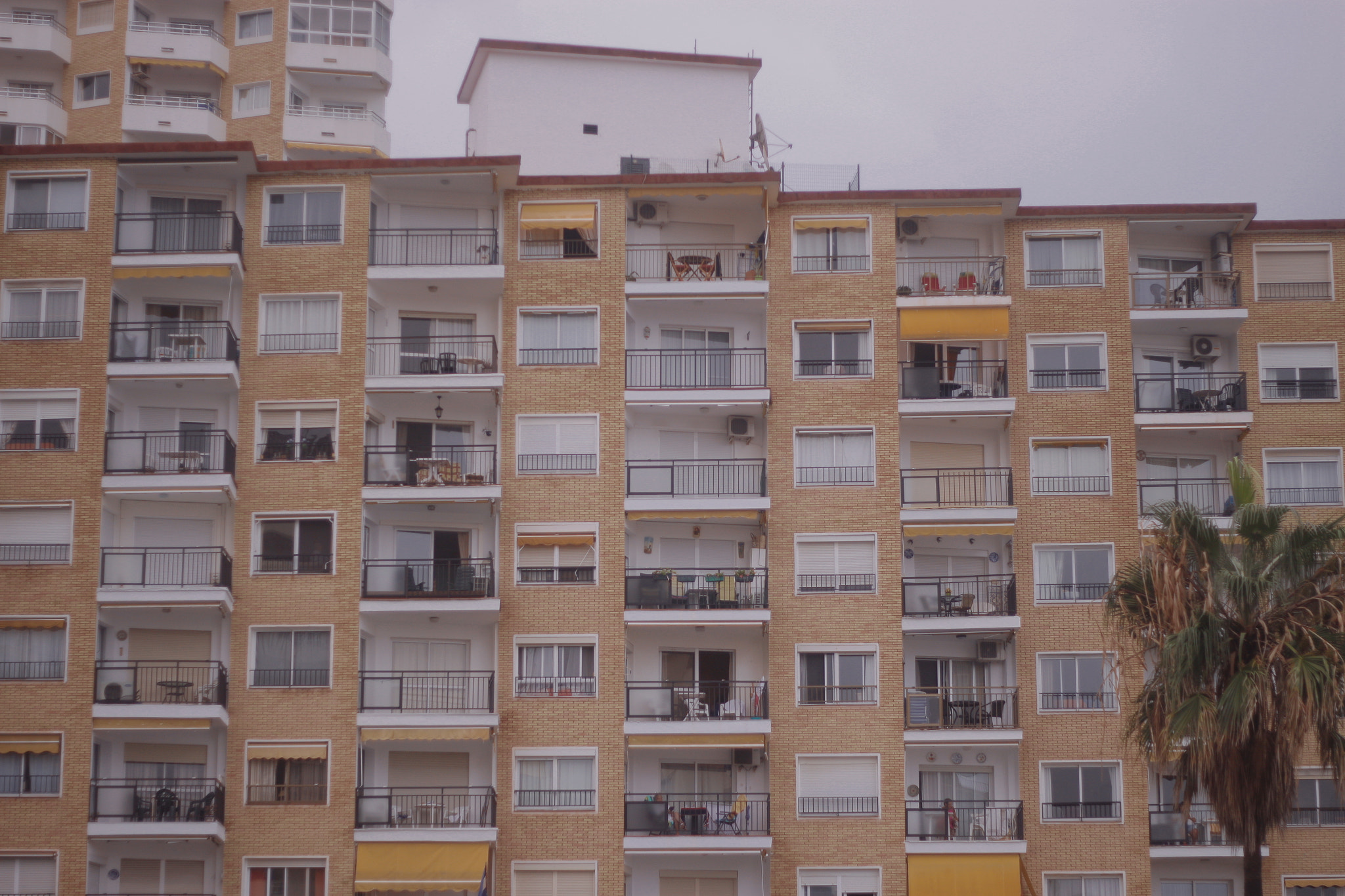 Canon EOS 500D (EOS Rebel T1i / EOS Kiss X3) + Canon EF 50mm f/1.8 sample photo. Spain 2015 photography
