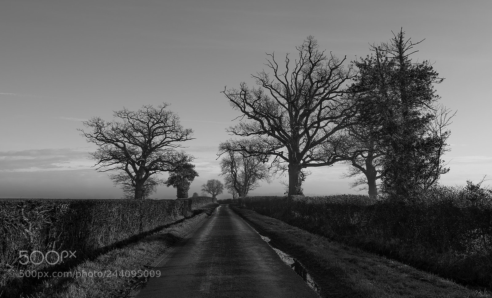 Nikon D850 sample photo. The journey.. photography
