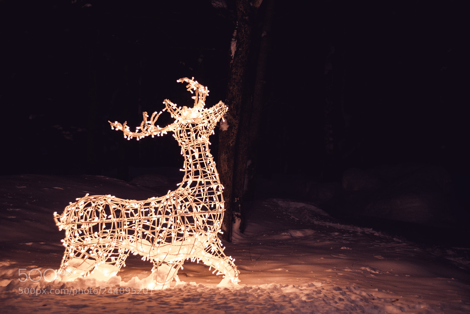 Nikon D610 sample photo. The endless holiday photography